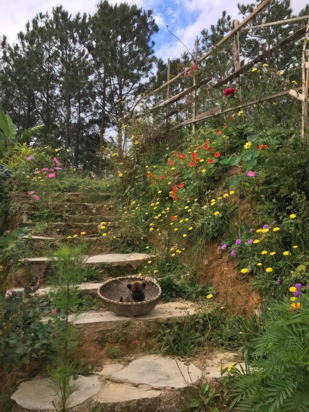 Photo 18