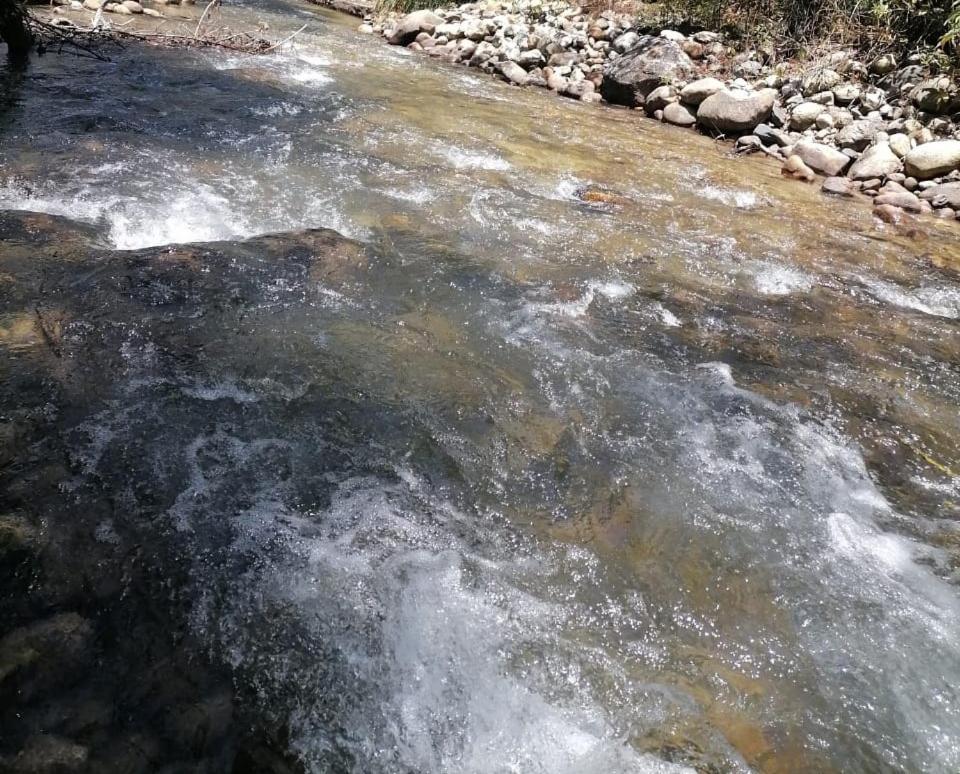 Pitec Hostel Lodge view 4