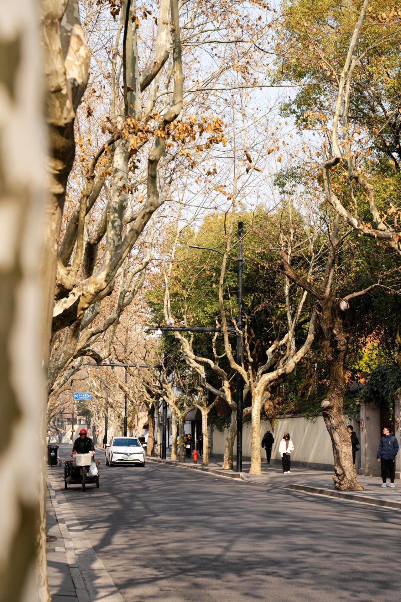 Shanghai Downtown Flower B&B - West Fuxing Road Branch