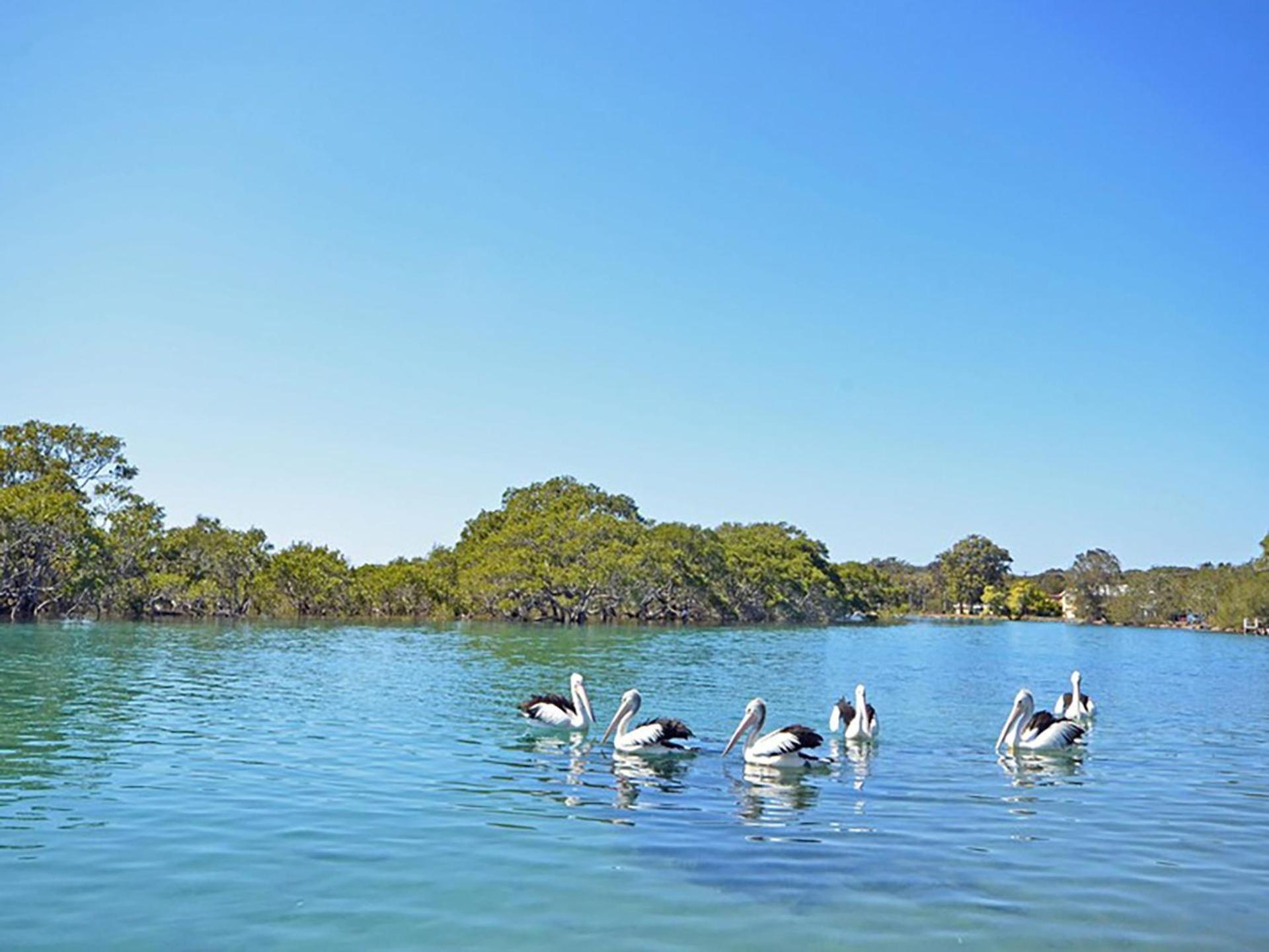 Tranquil Waters