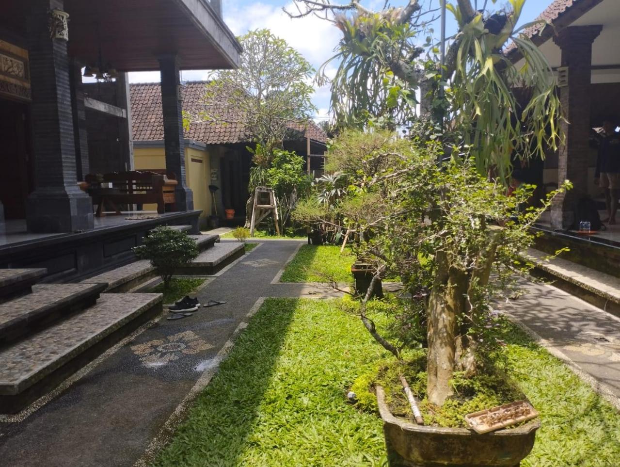 Bupala Guest House, Ubud - 10