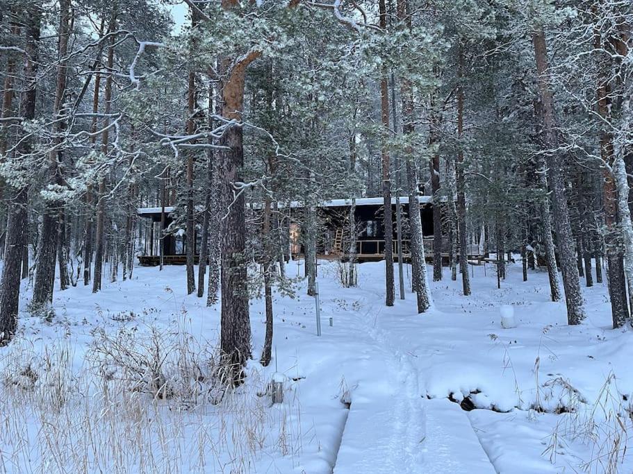 A unique lakeside cottage