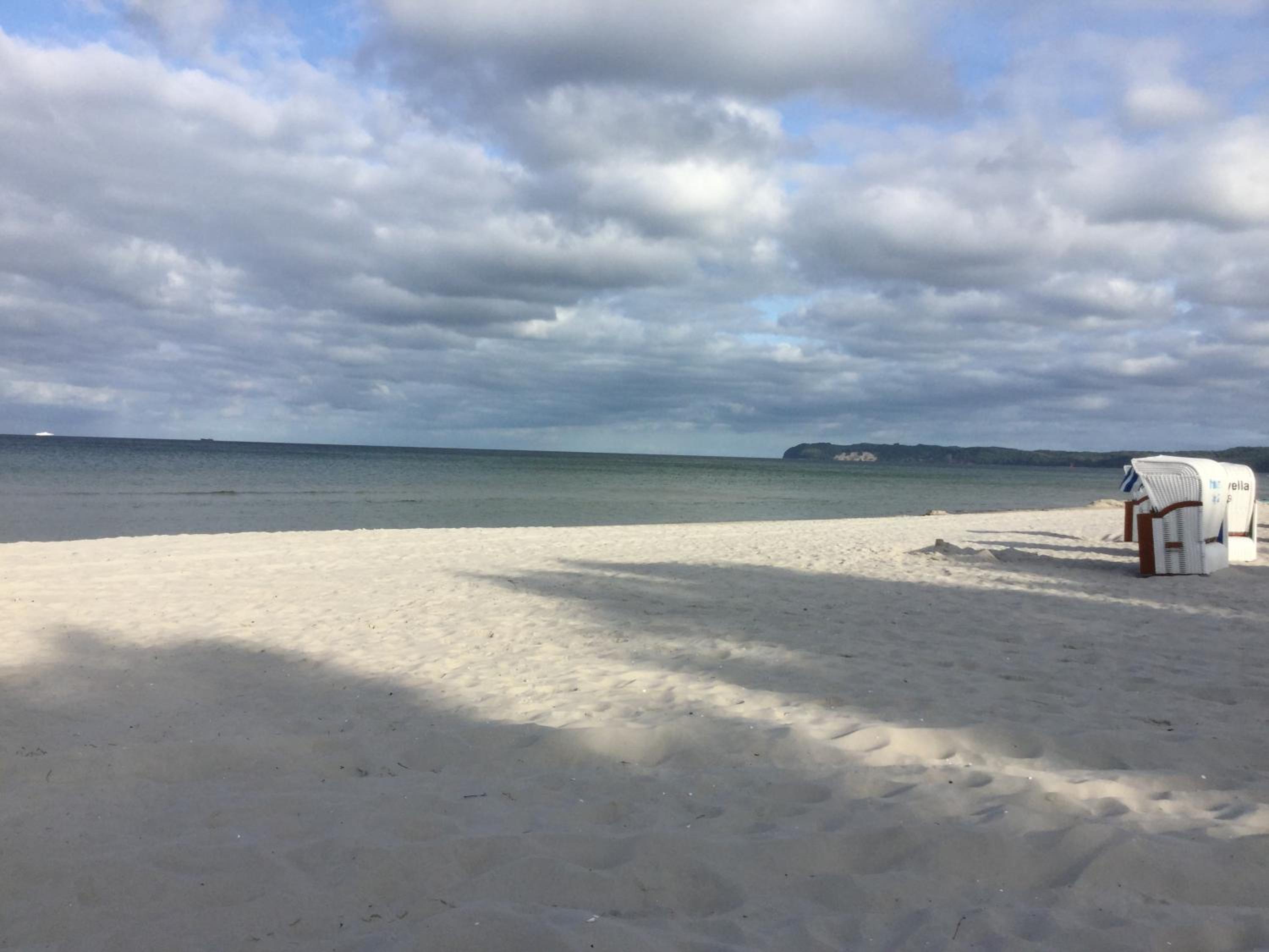 Seeschwalbe mit Meerblick
