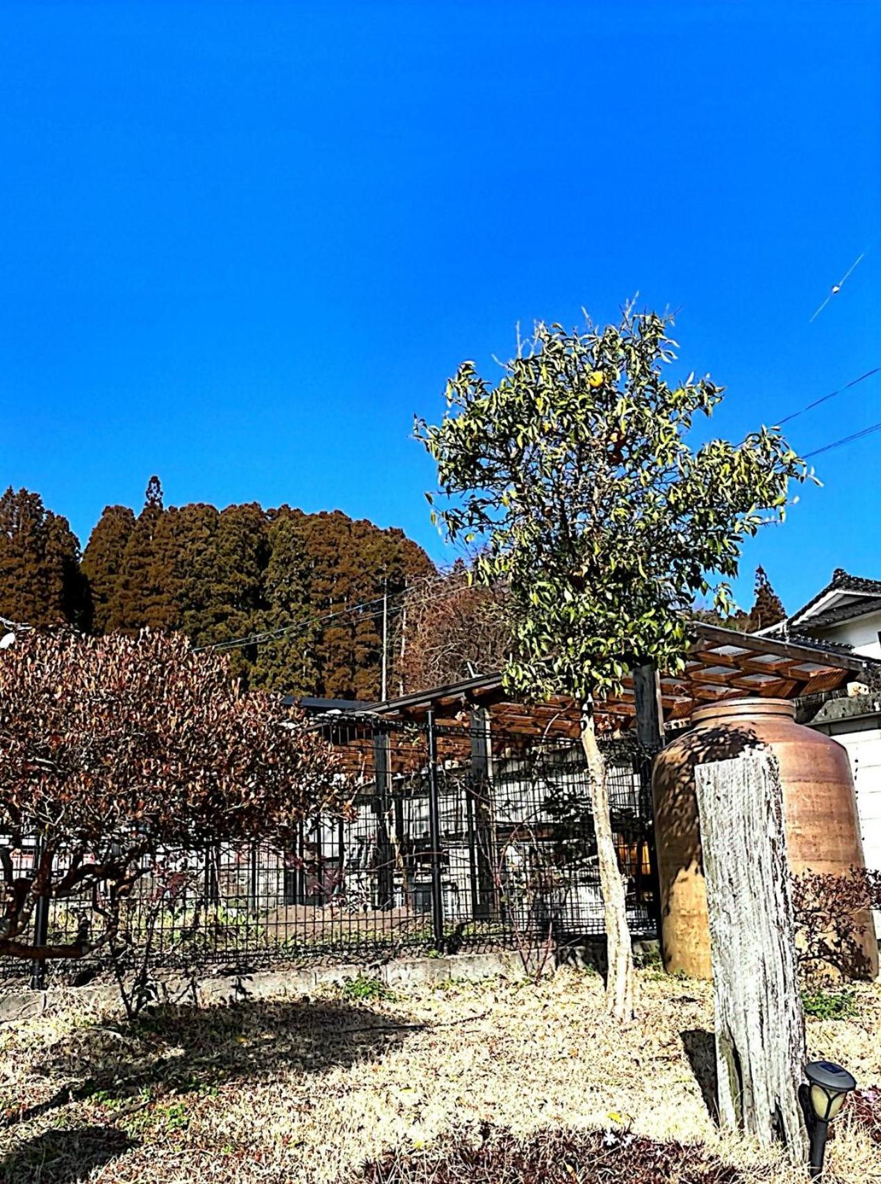 Photo 40
