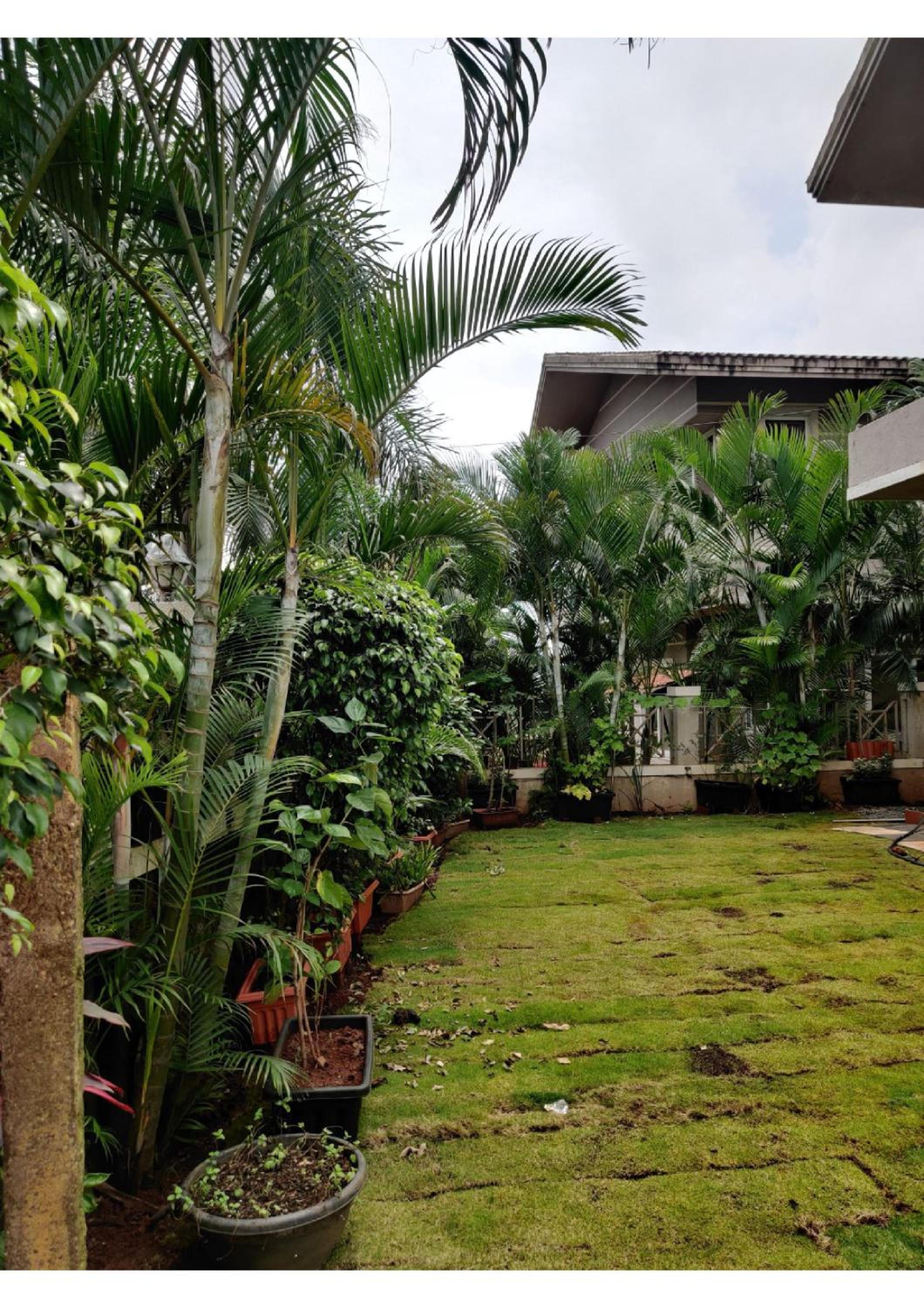 Blanco 4 bhk Pure Veg view 2