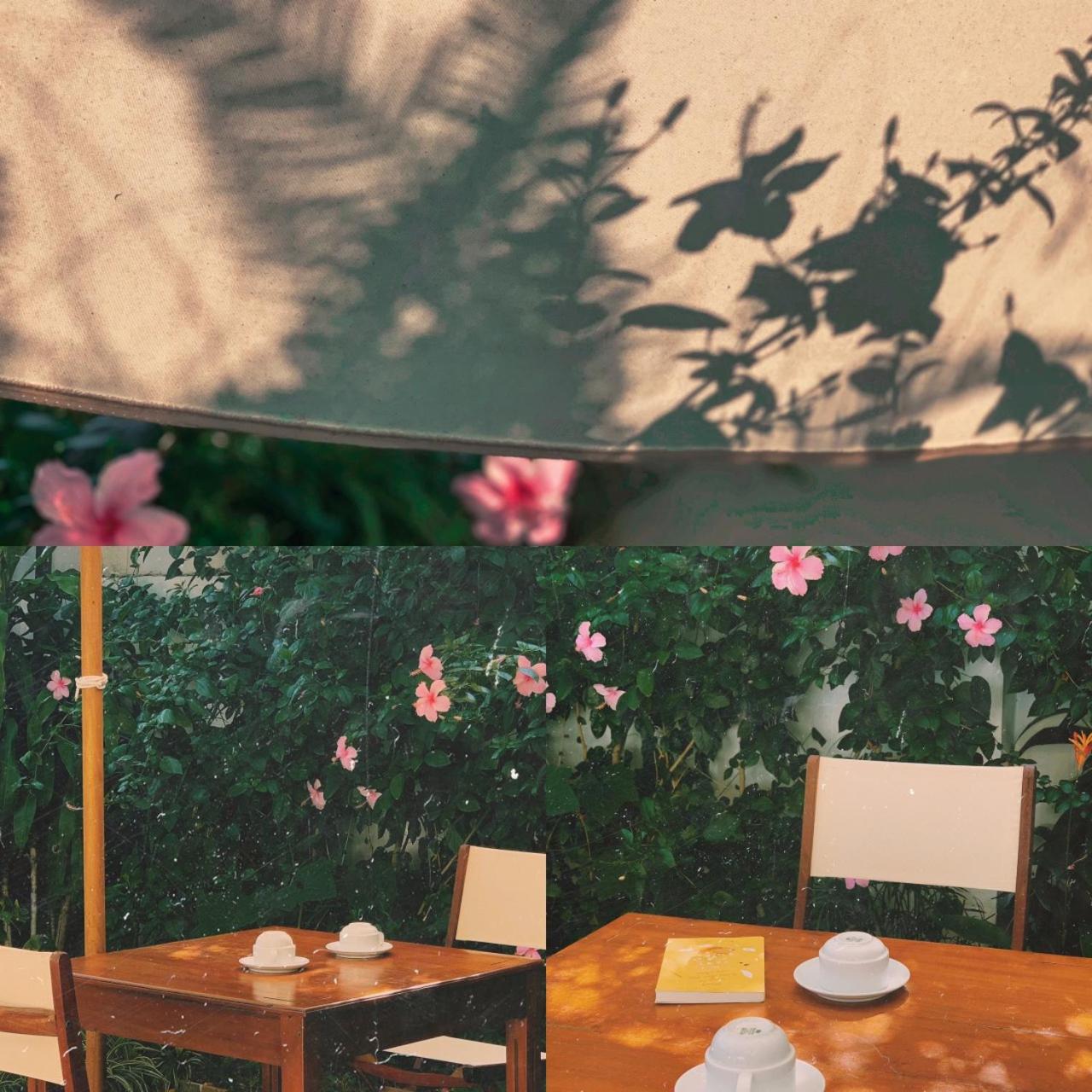 An Hiên Homestay Hội An