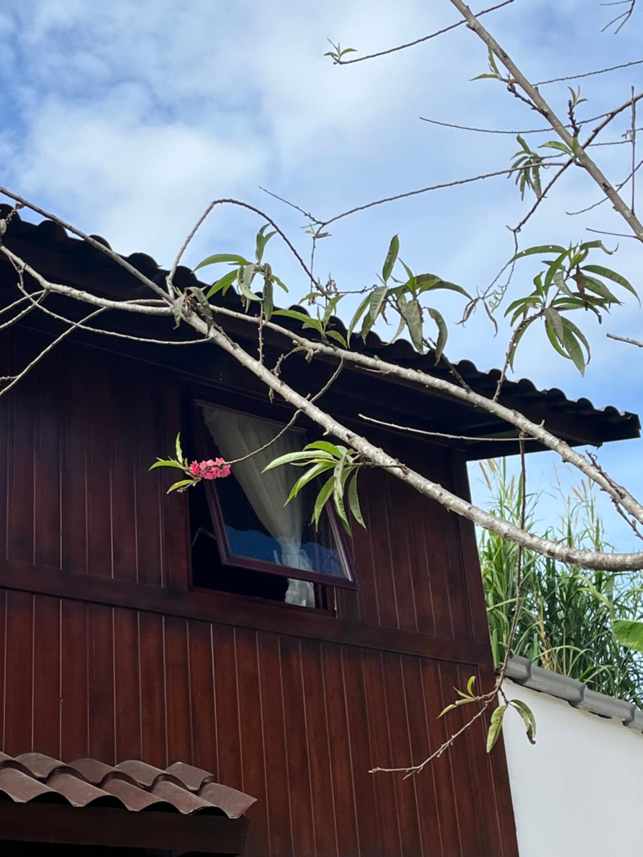 Một căn nhà gỗ ấm áp