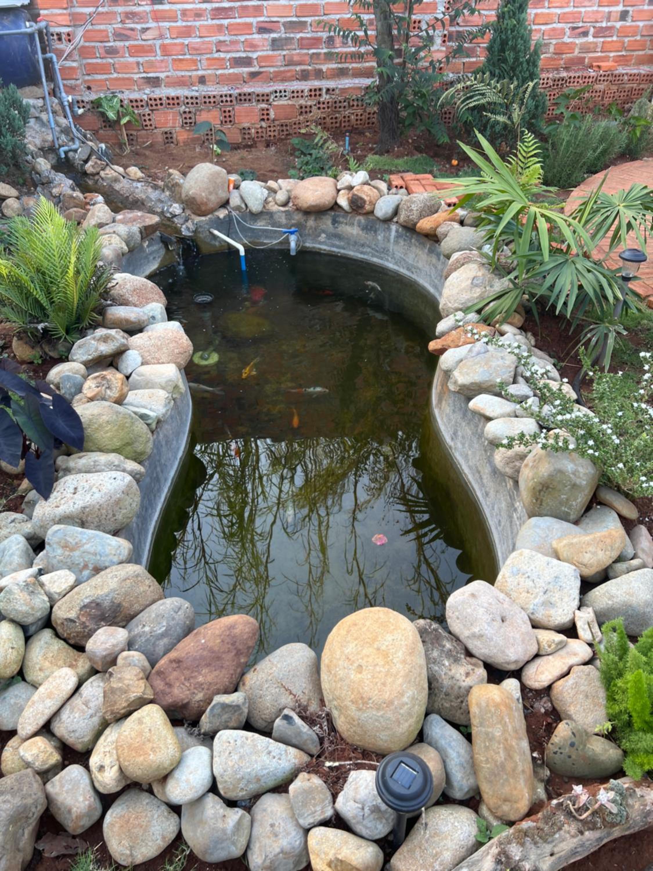 Homestay Caskameo Đà Lạt view 5
