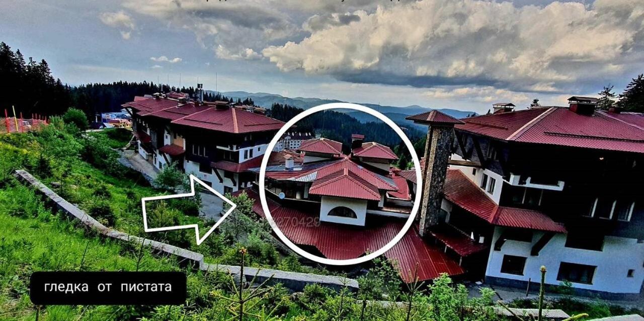 The Golden Nest - 3 Bedroom Family Mountain Apartment