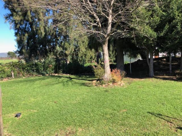 Photo 35