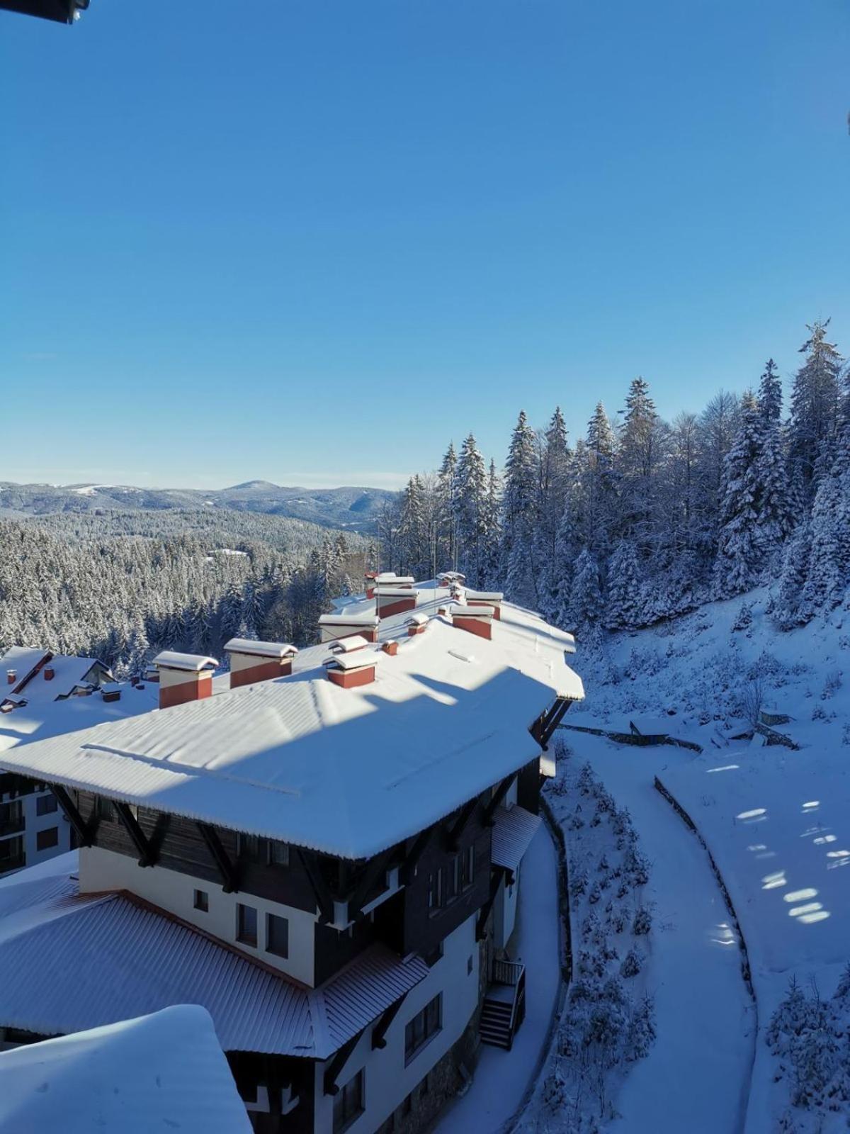 The Golden Nest - 3 Bedroom Family Mountain Apartment