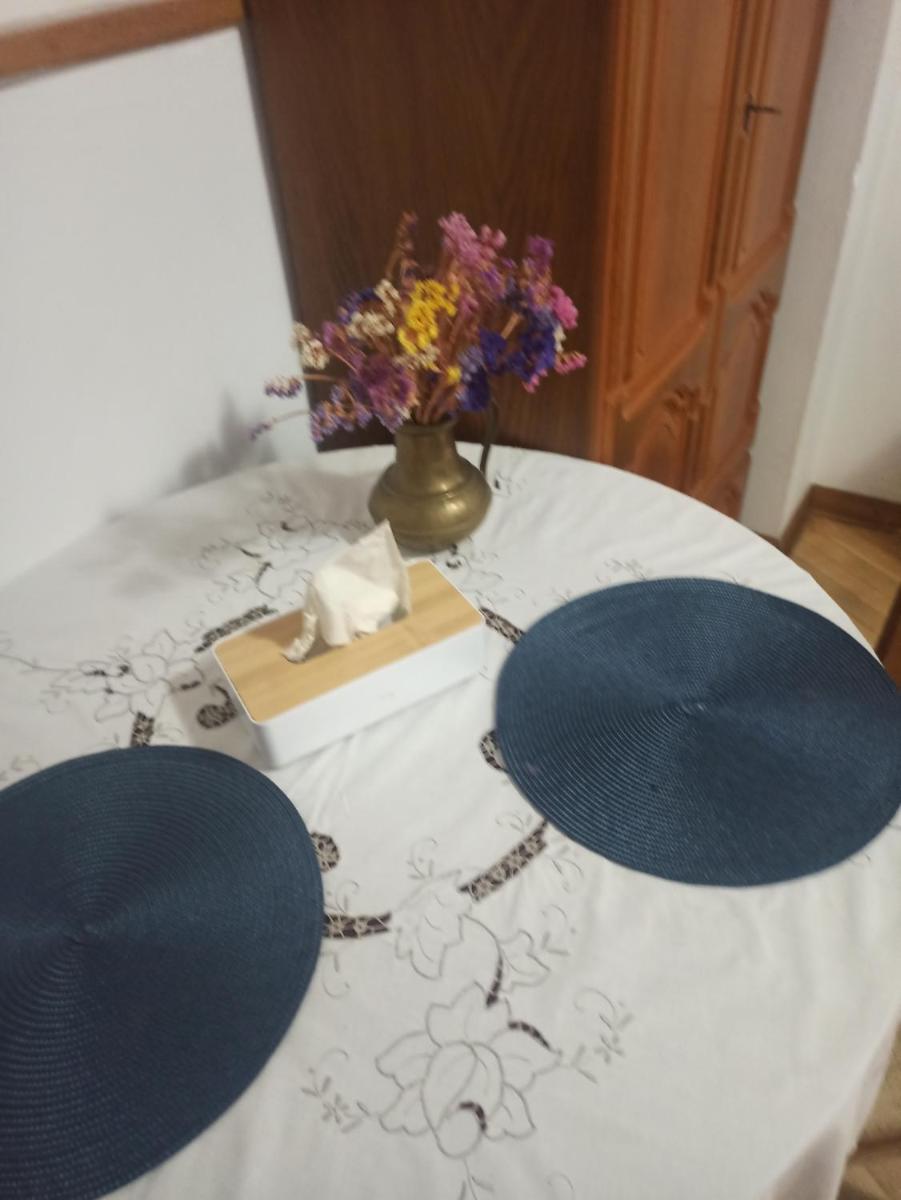 Hotel-hostel Saska