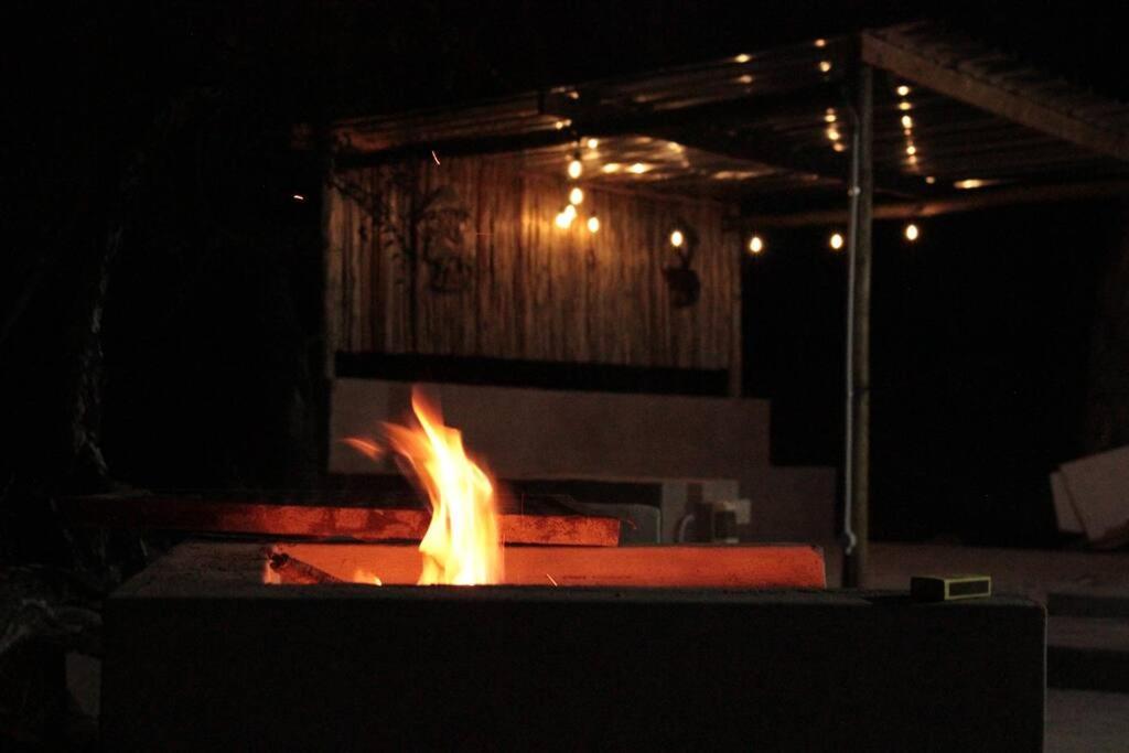 Photo 21