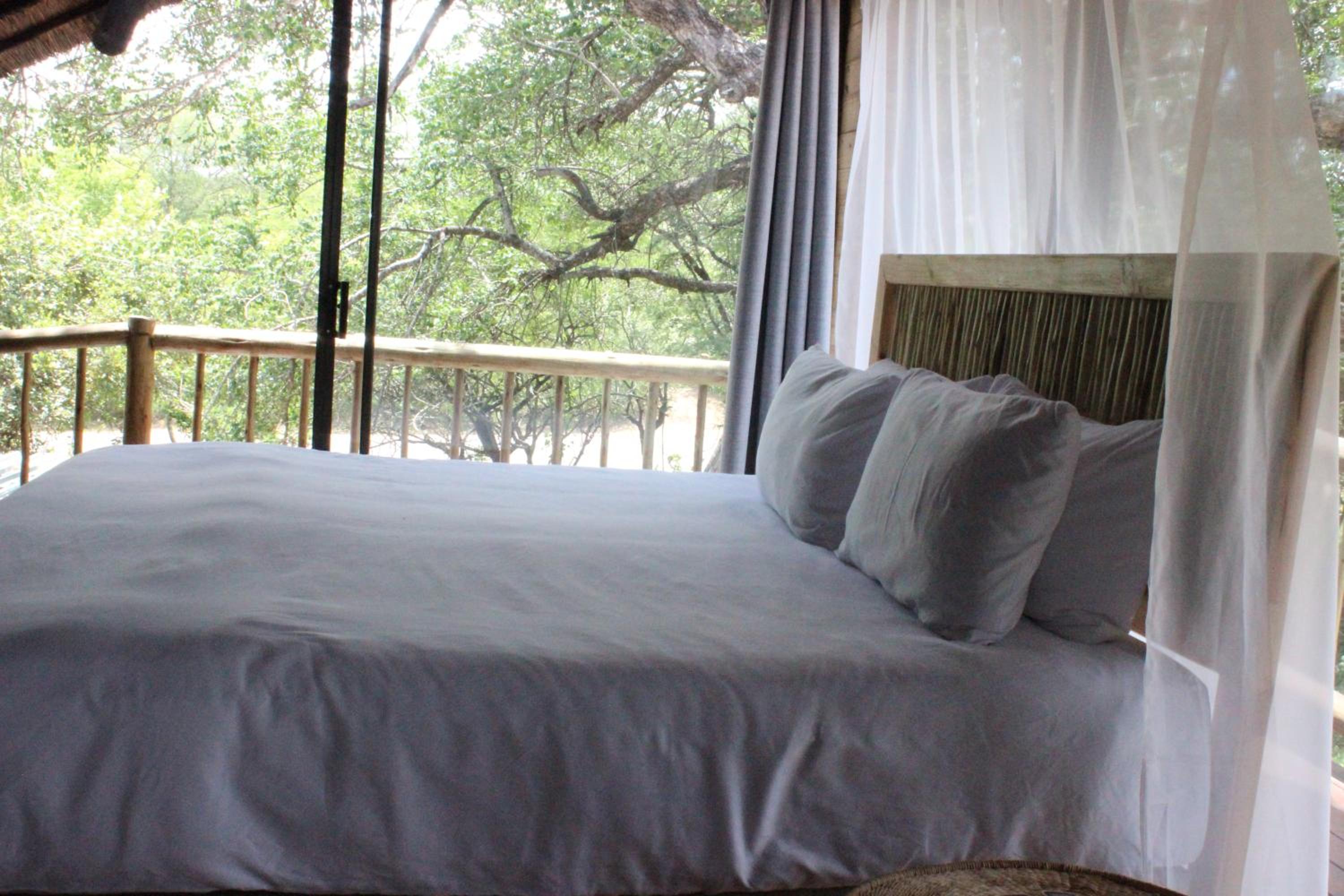 Letoane@krugerpark view 2