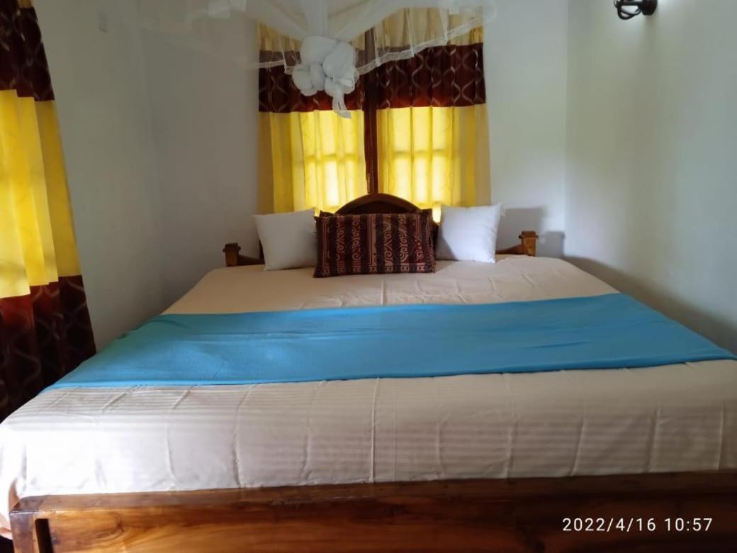Blue Night Homestay