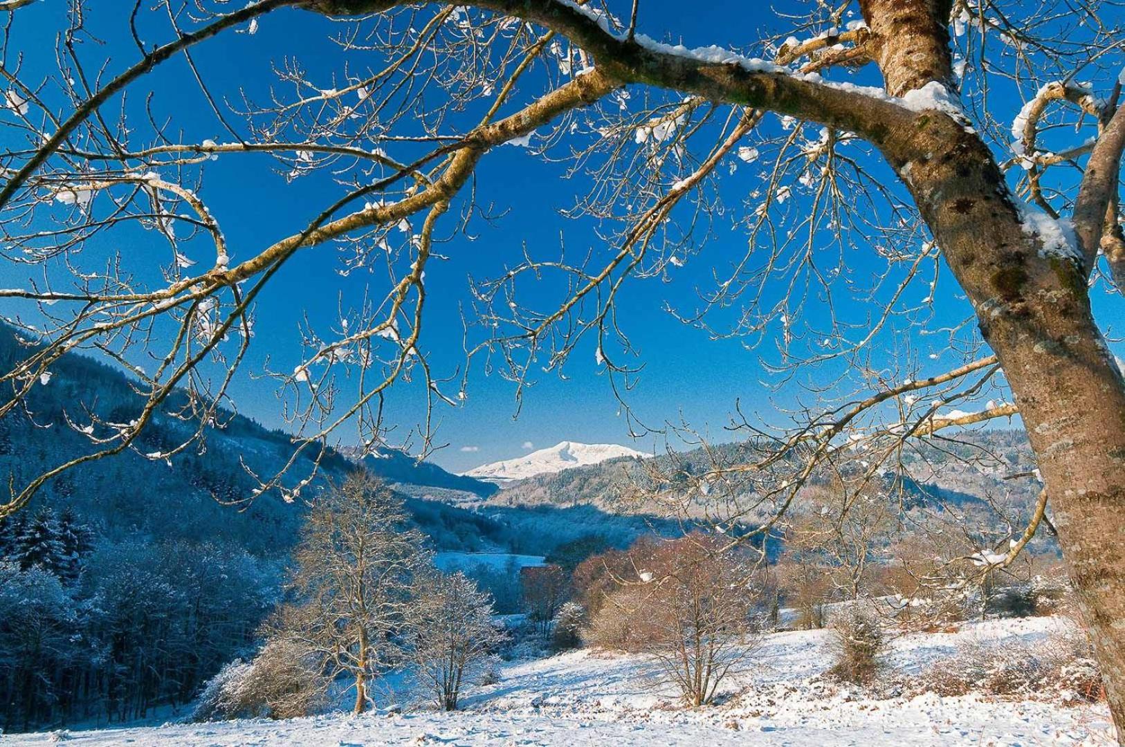 Creigia-Betws