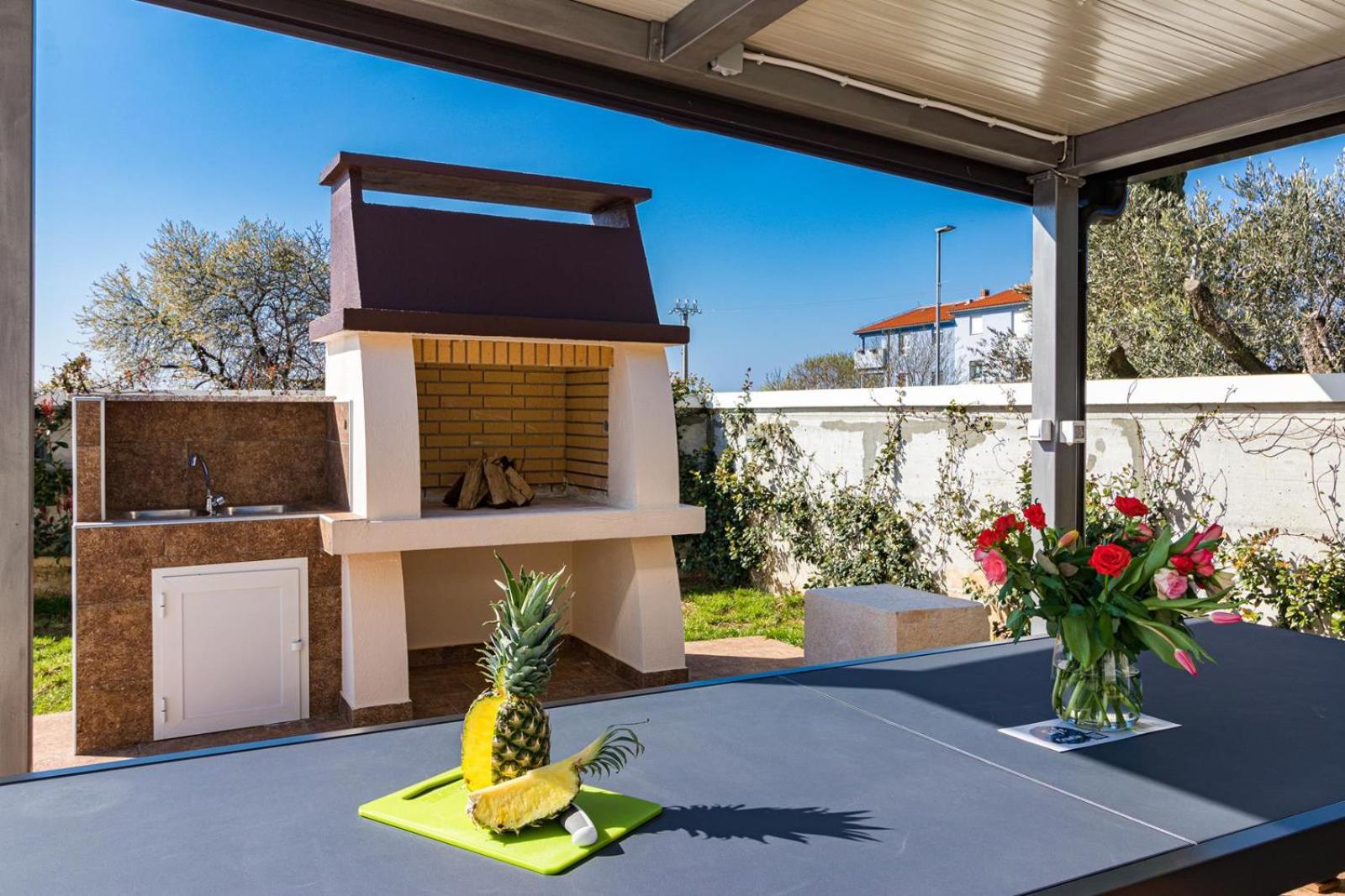 Beautiful 6 bedroom villa in Valbandon