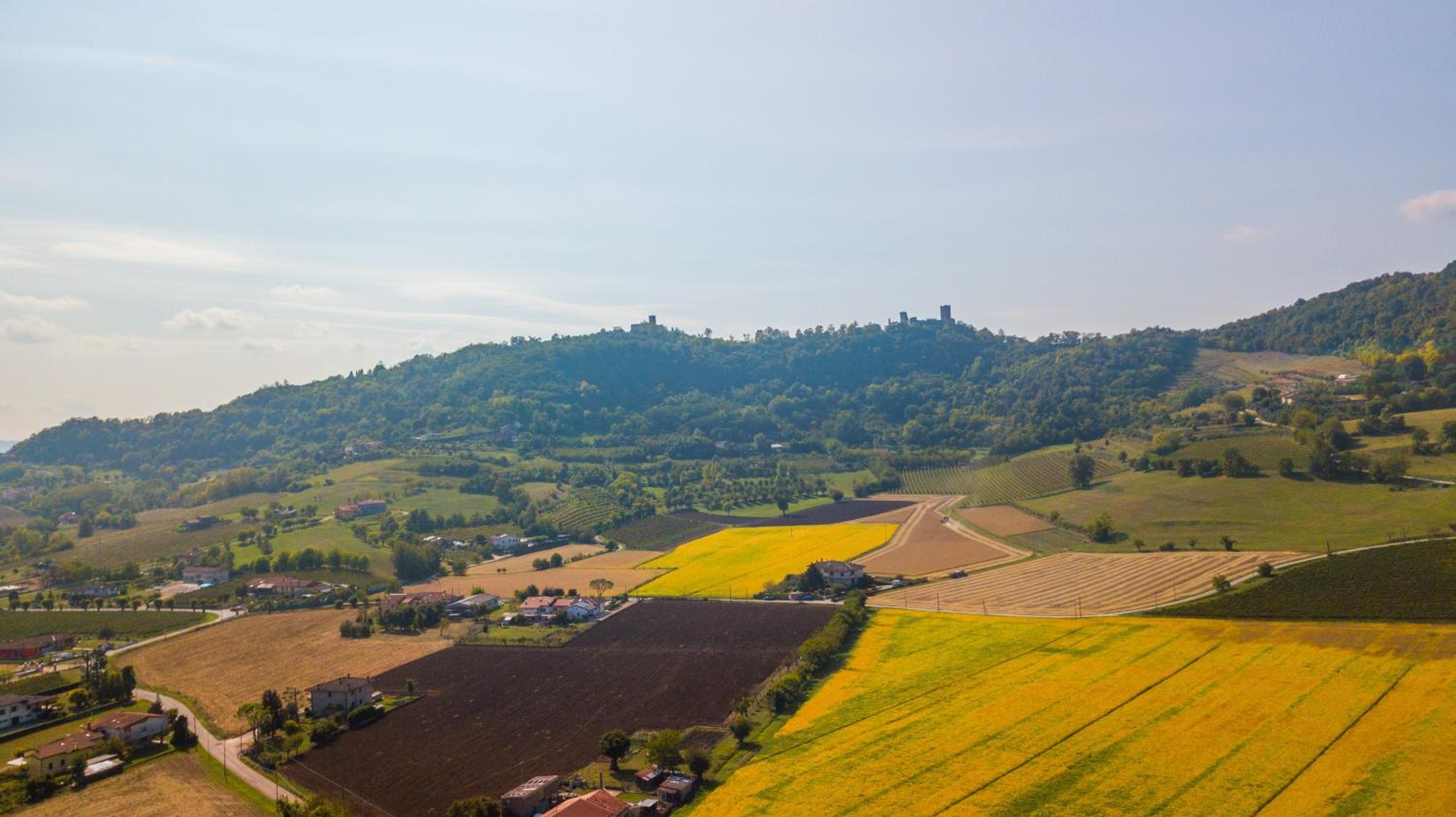 AGRITURISMO RIVA RATTA view 5