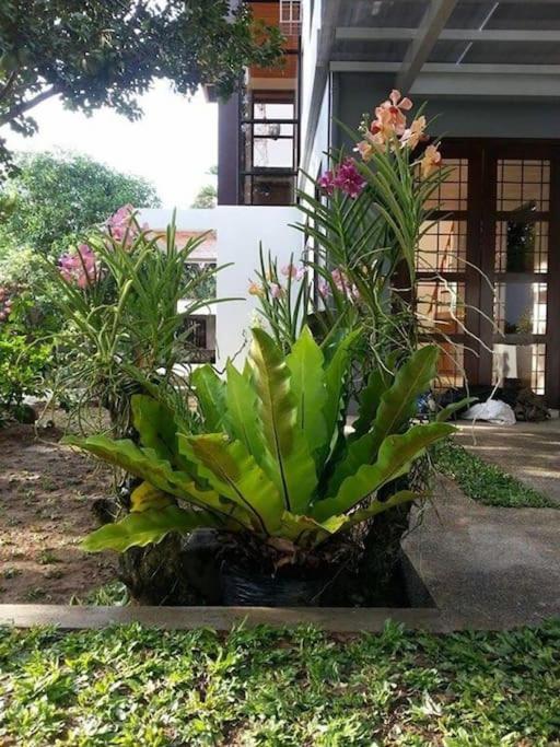 Casa Erlinda, modern newly built house 3BR for 8! view 2