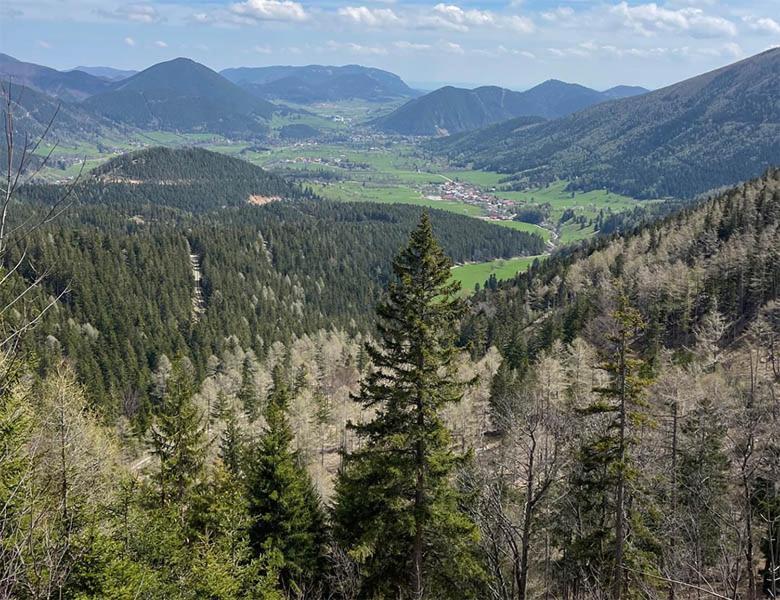 Ferienwohnung Sonnleiten