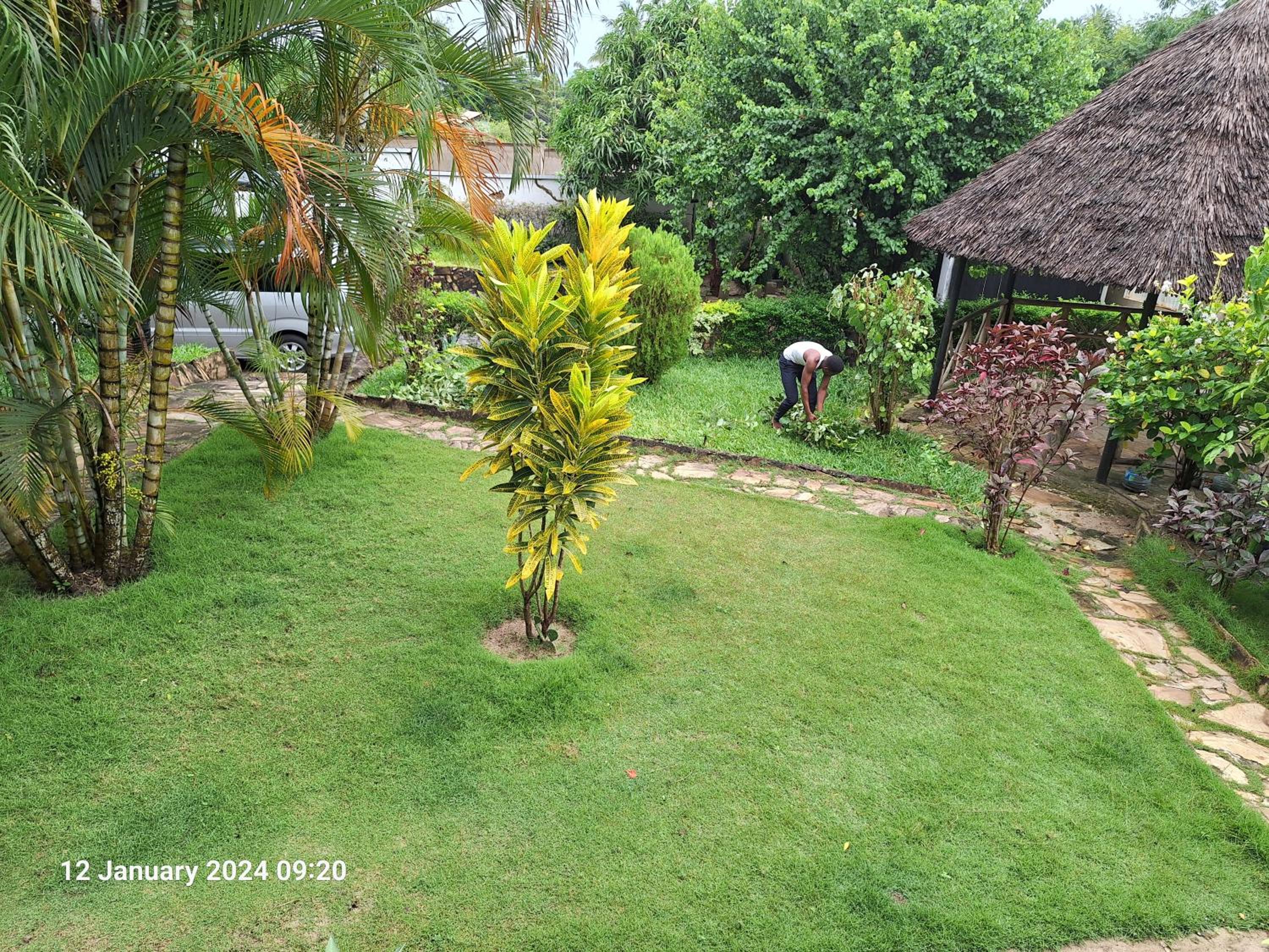 Photo 7