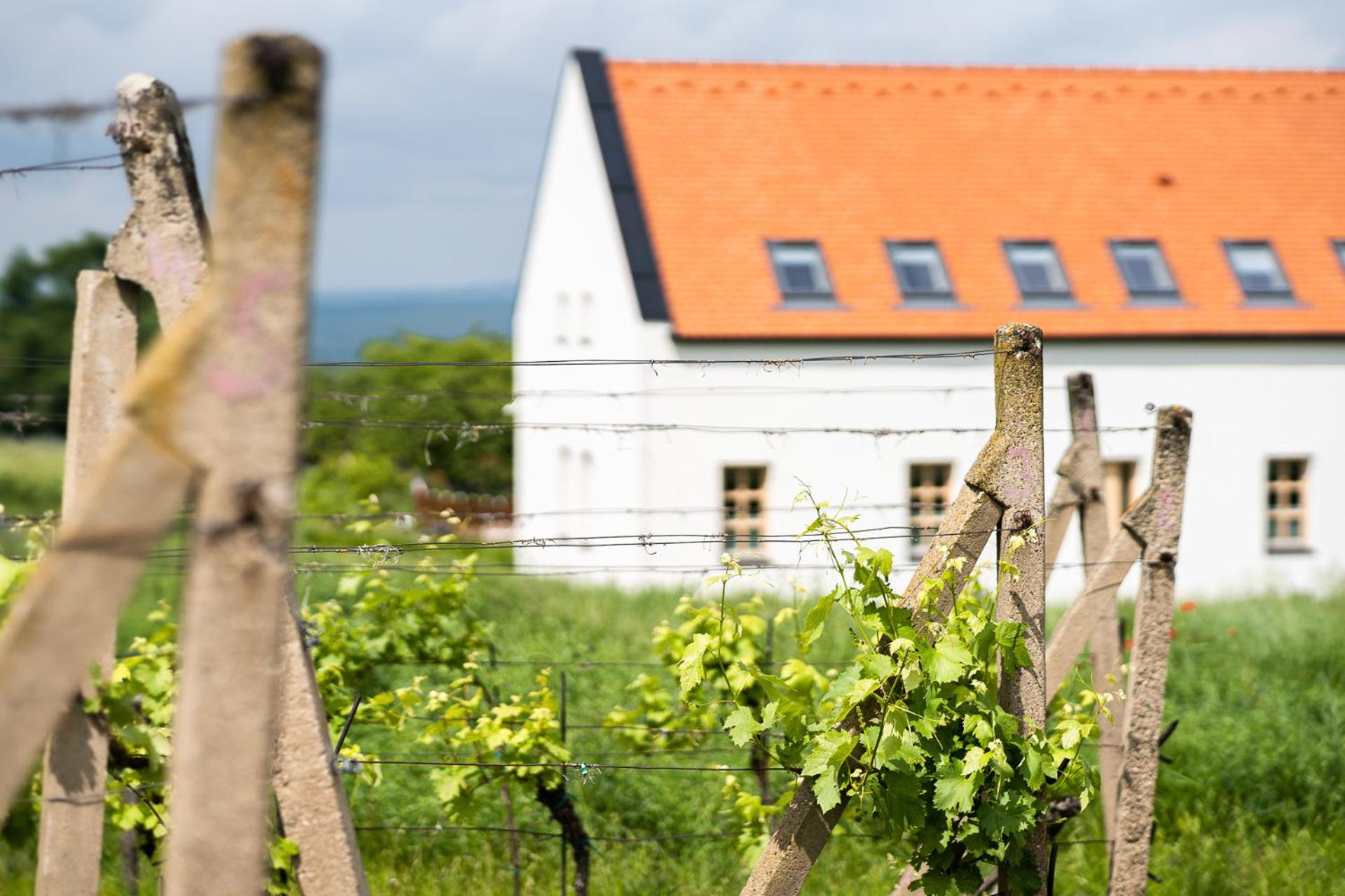 Penzion Nad Pavlovem