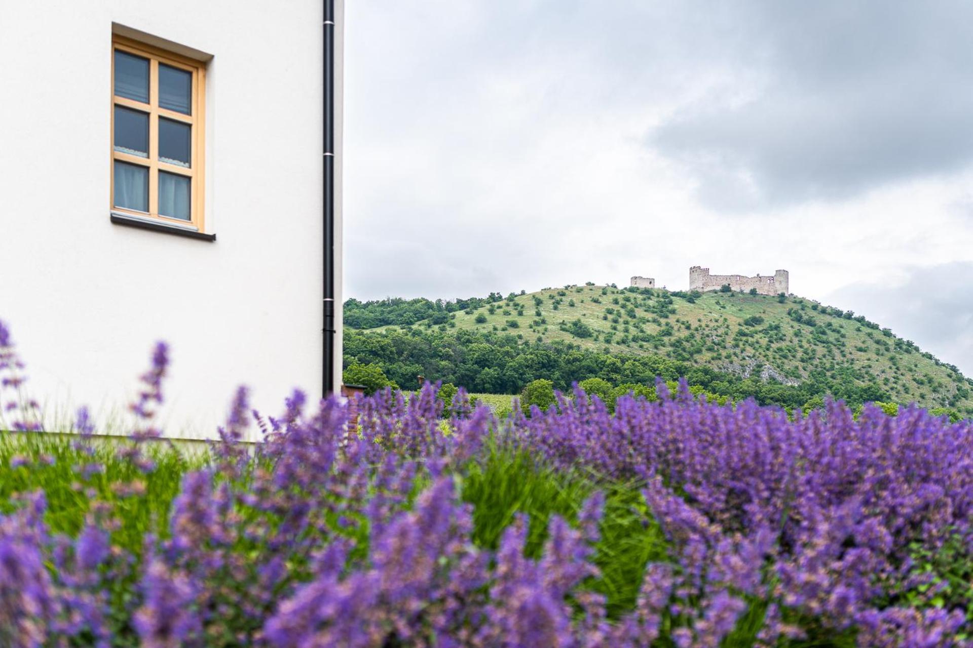 Penzion Nad Pavlovem