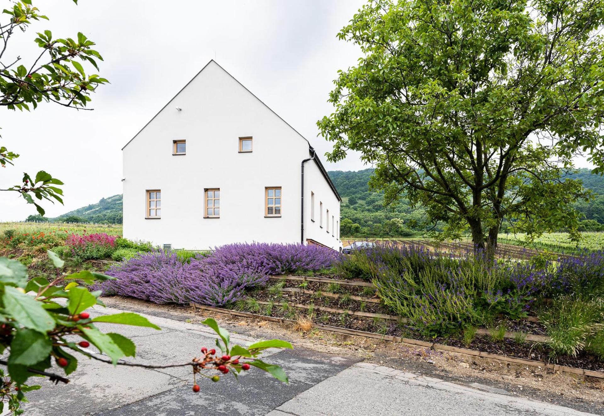 Penzion Nad Pavlovem