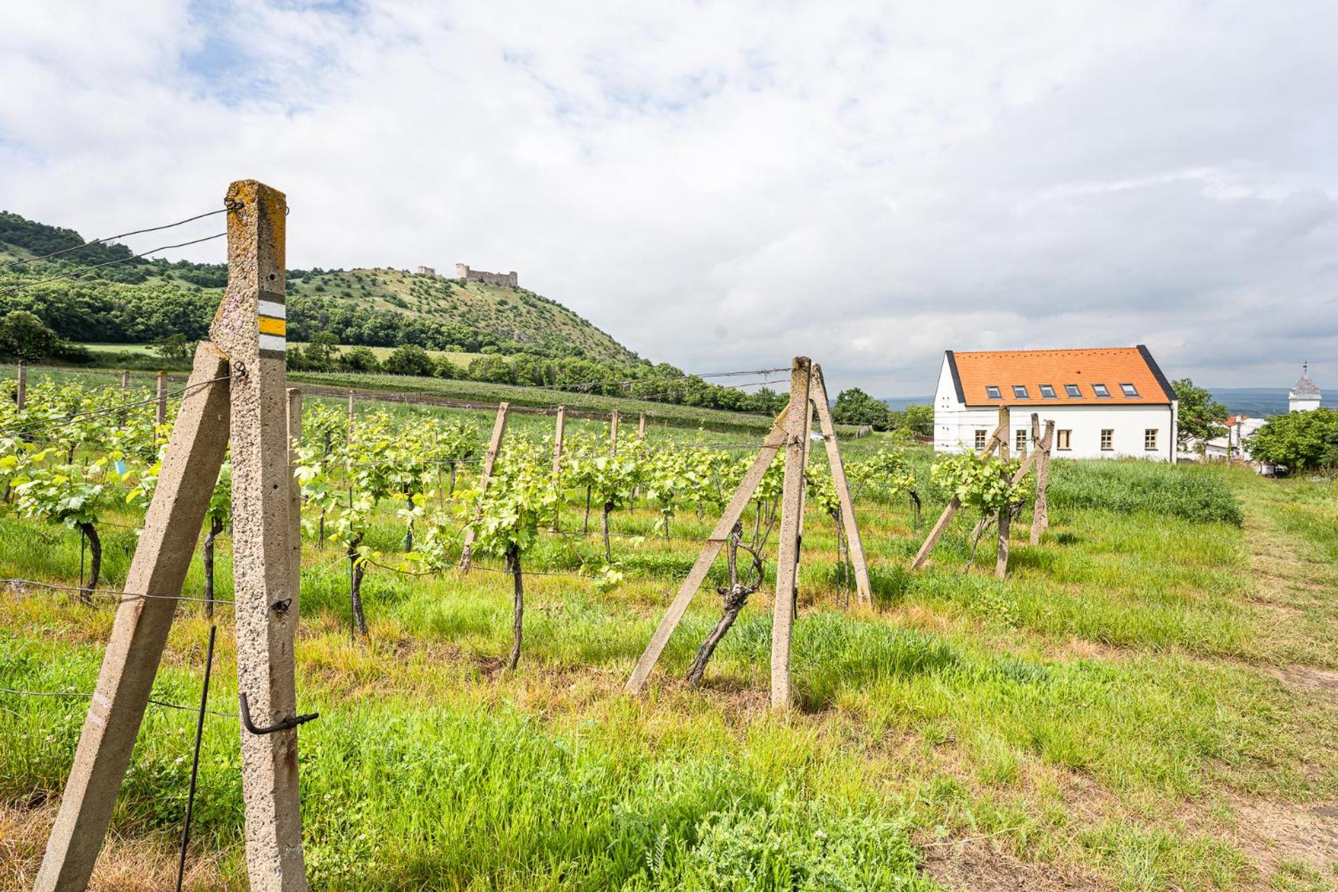 Penzion Nad Pavlovem
