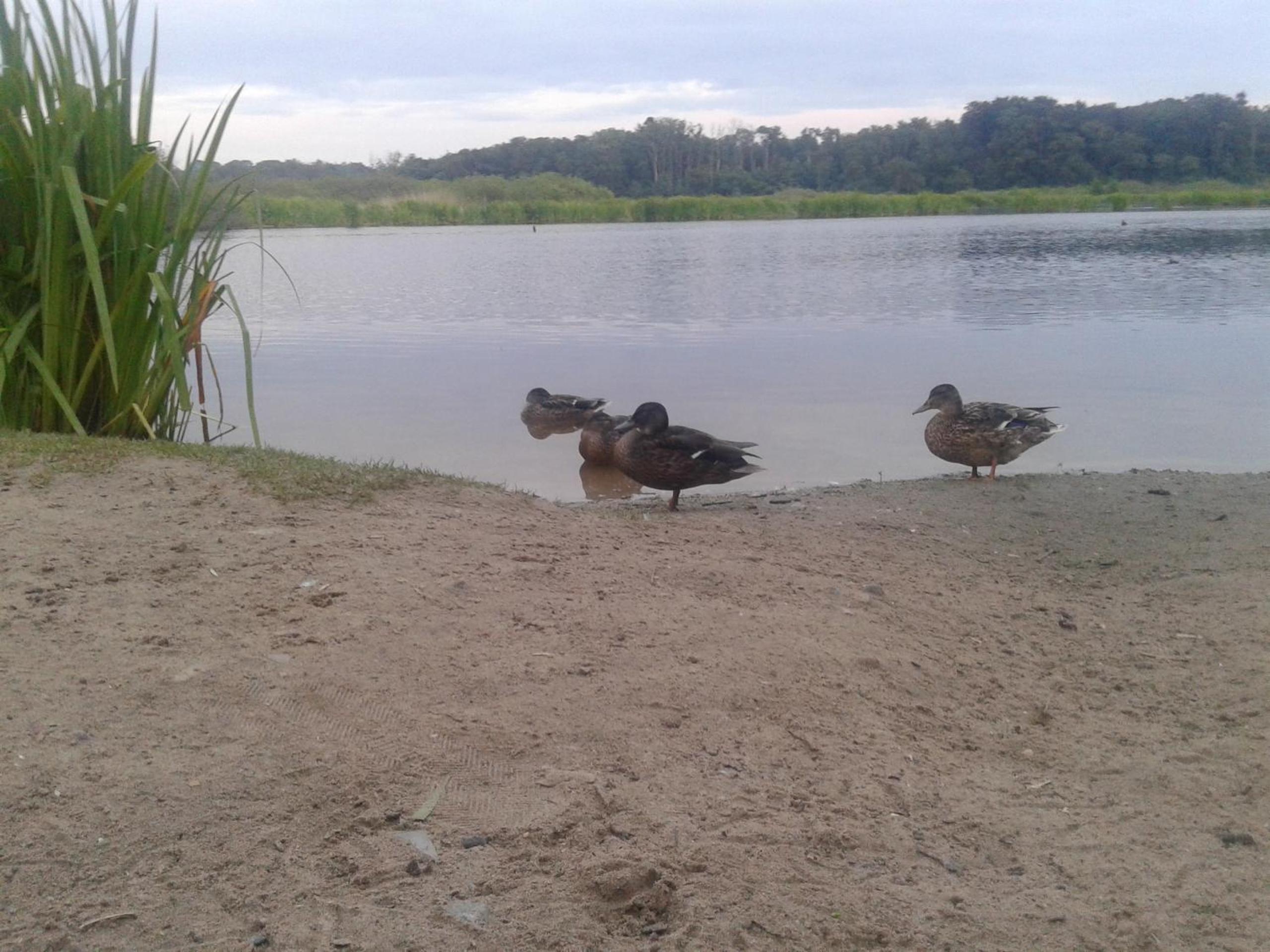 Photo 26