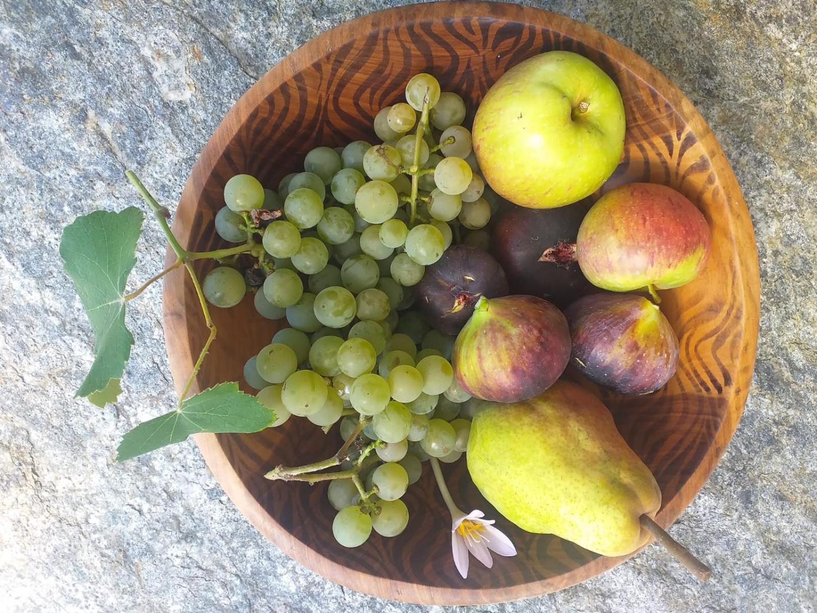 Agriturismo TorreScilano
