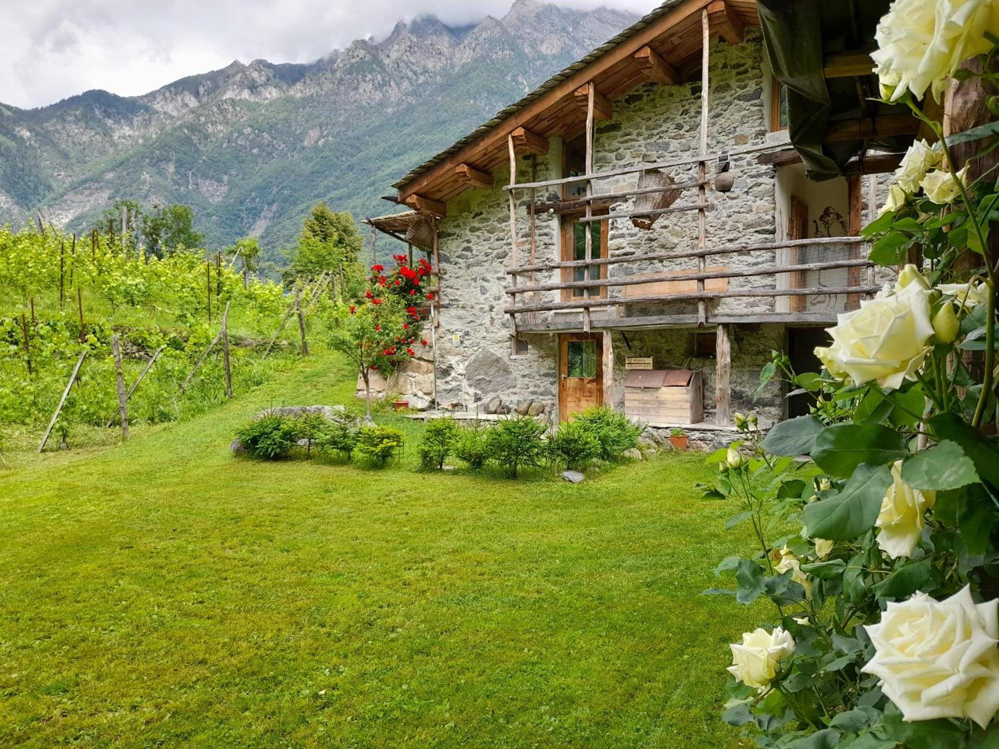 Agriturismo TorreScilano
