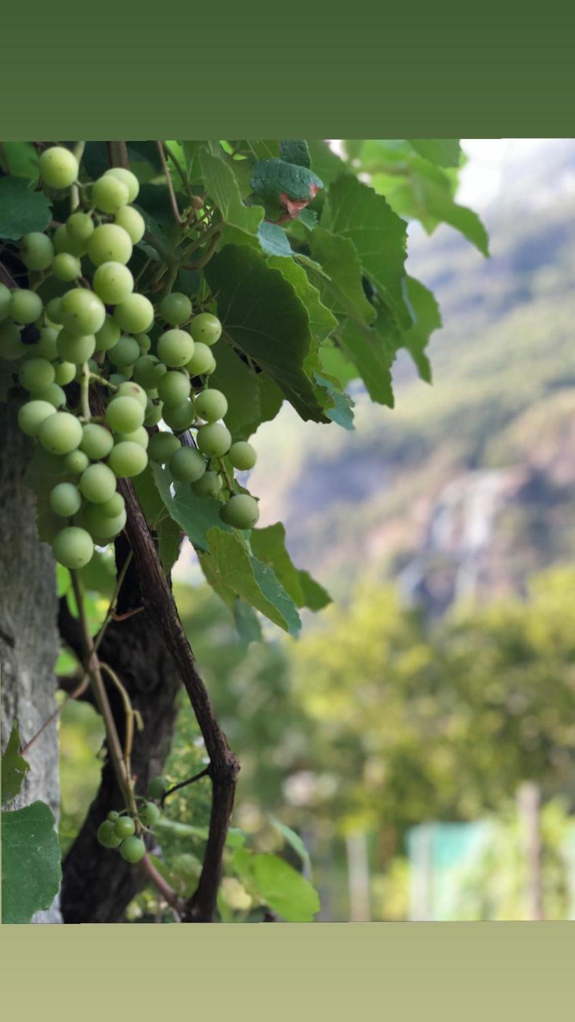 Agriturismo TorreScilano