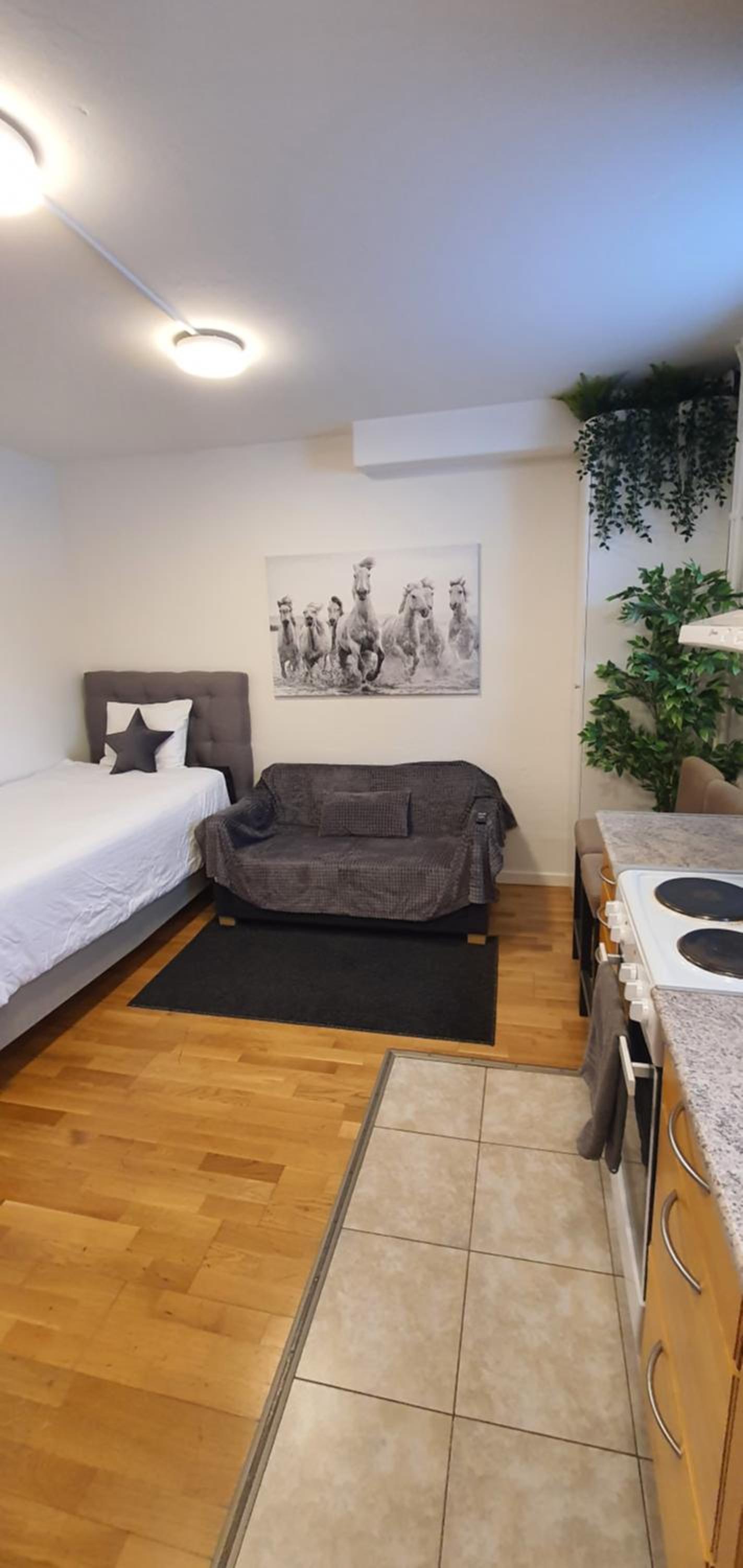 Studio apartment near metro and forest!