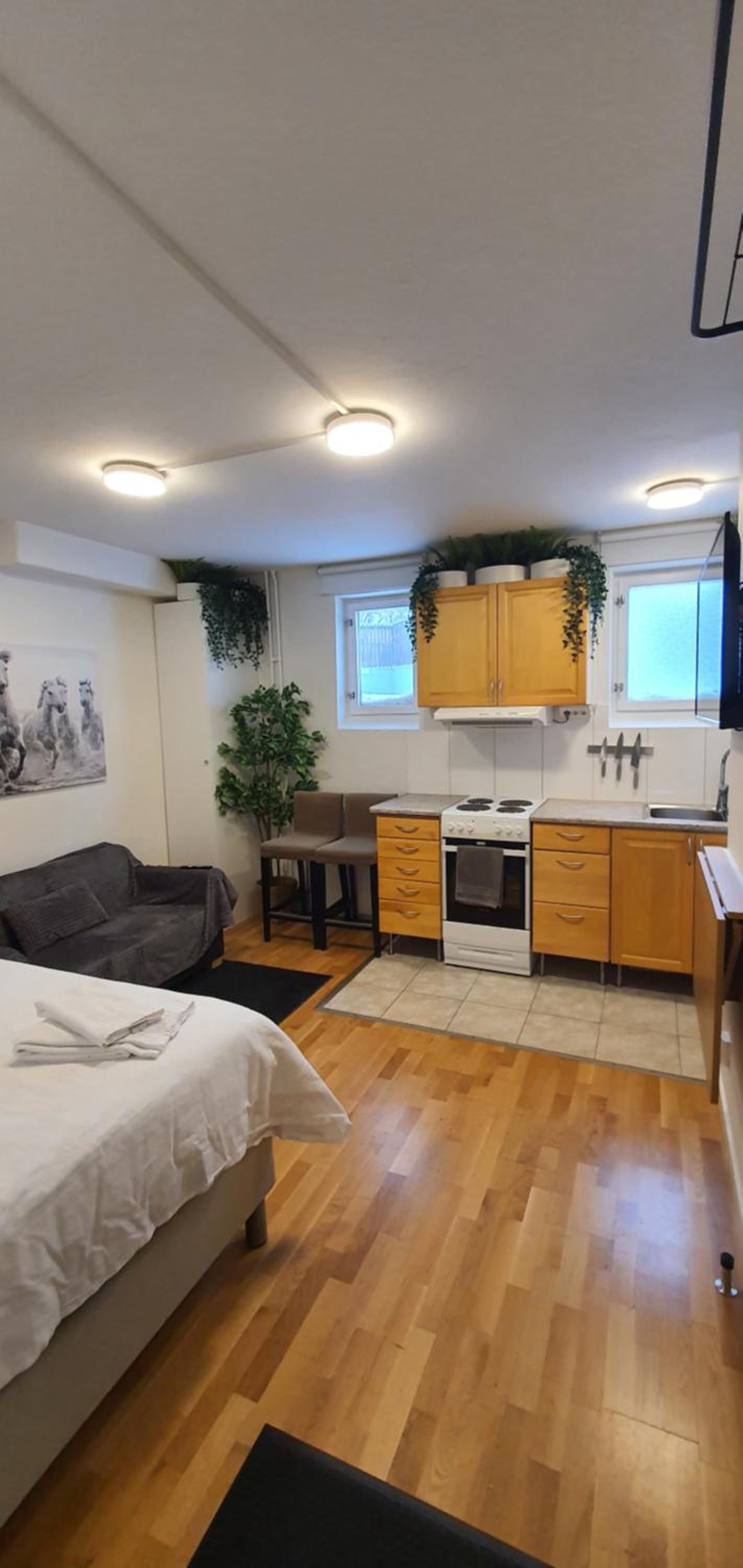 Studio apartment near metro and forest!