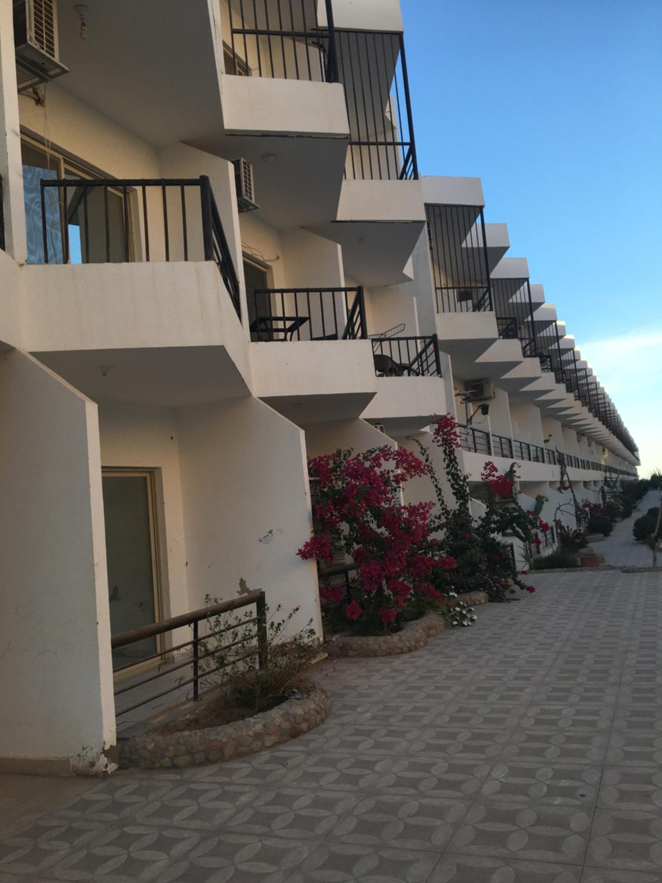 Fox House Resort Apartment