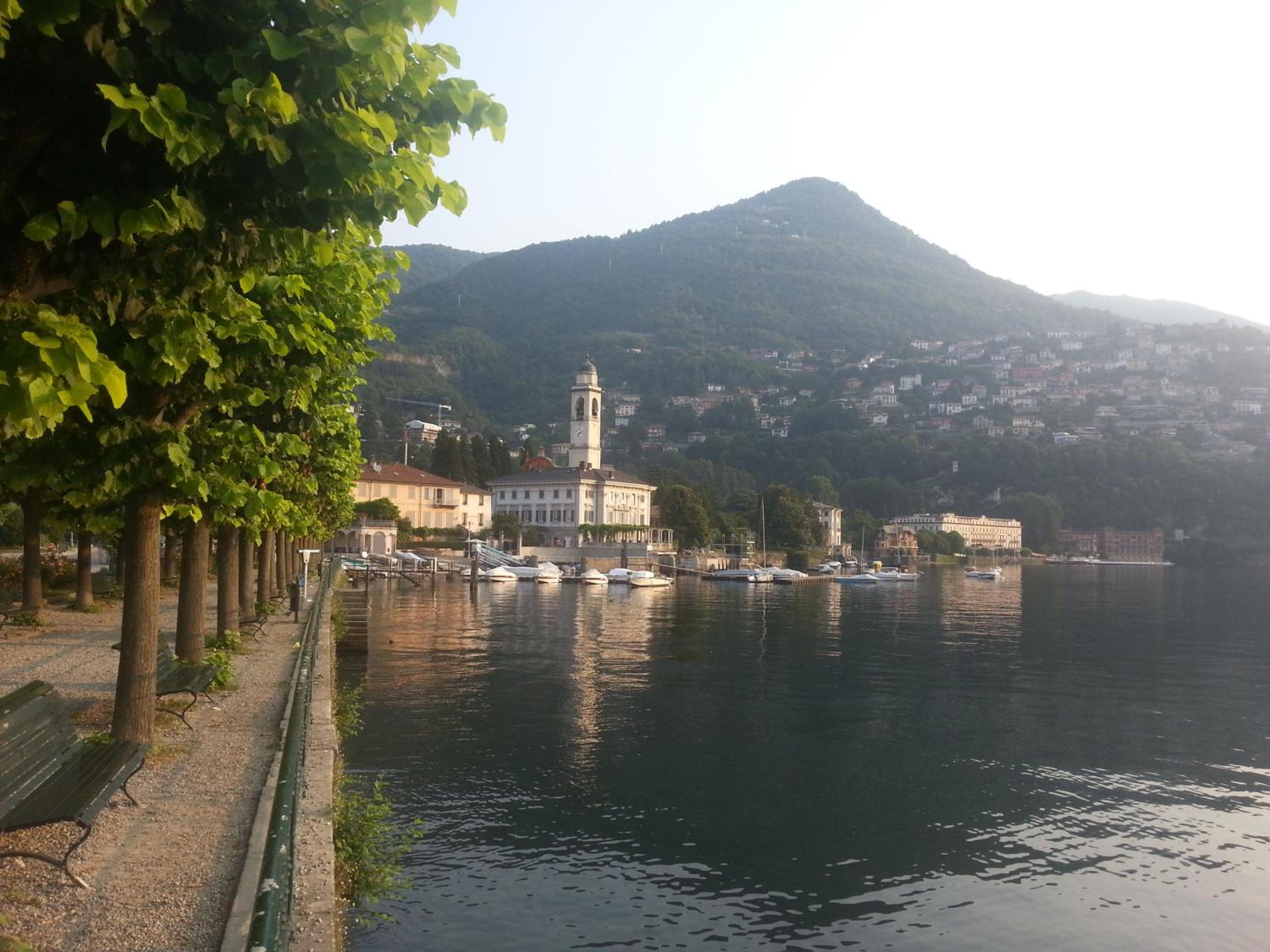 La Corte di Zizi