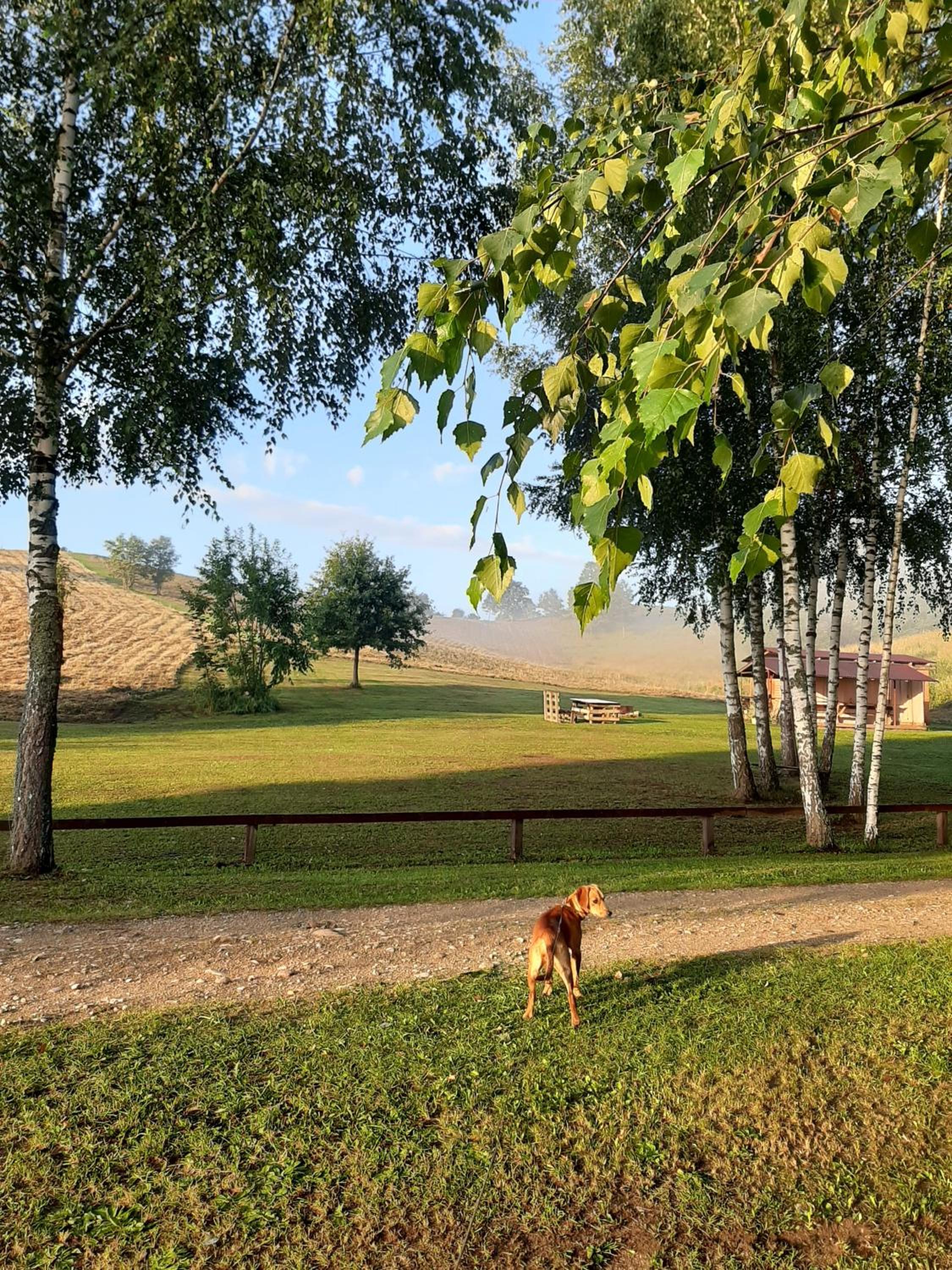 Daugirdėnų sodyba