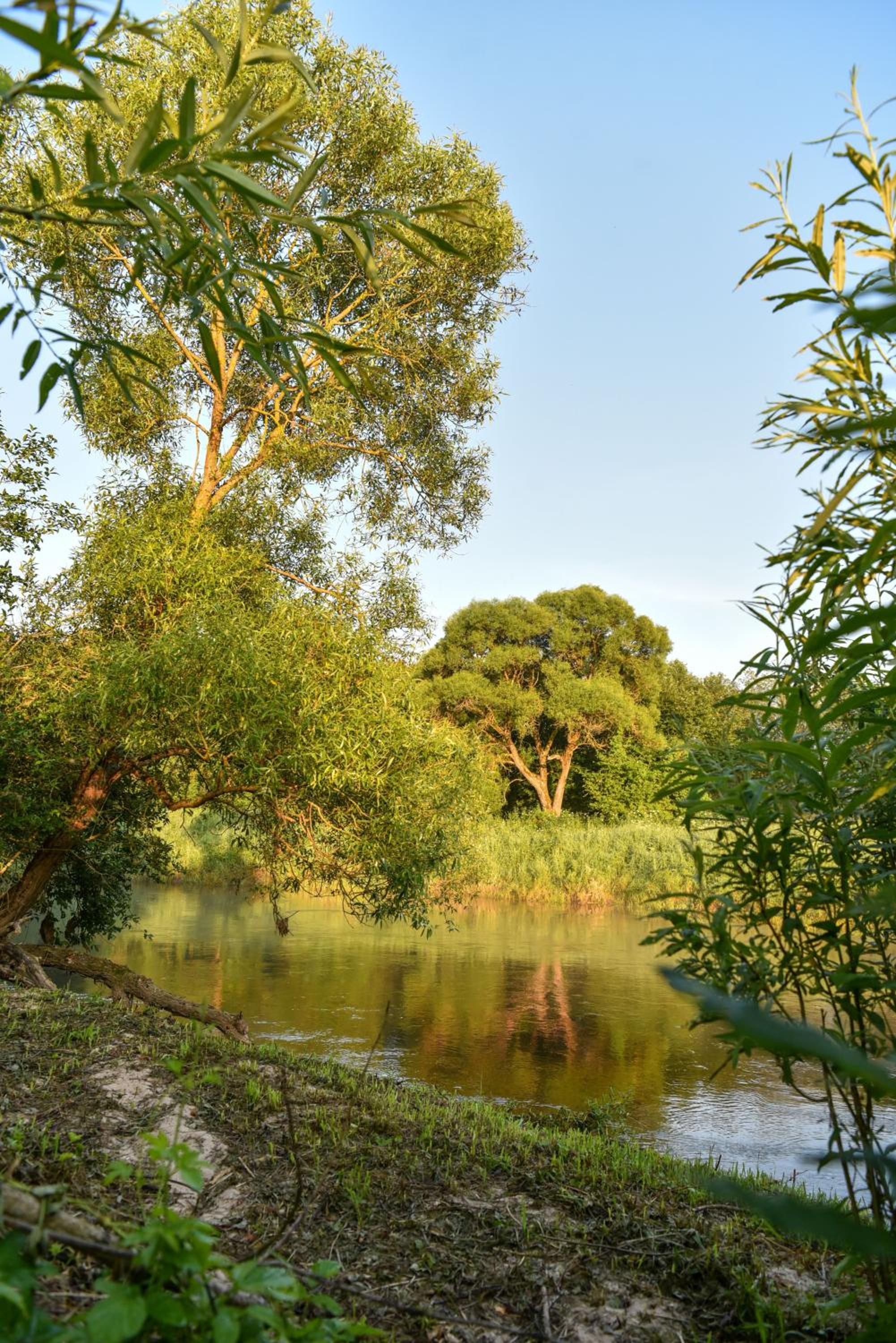 Daugirdėnų sodyba