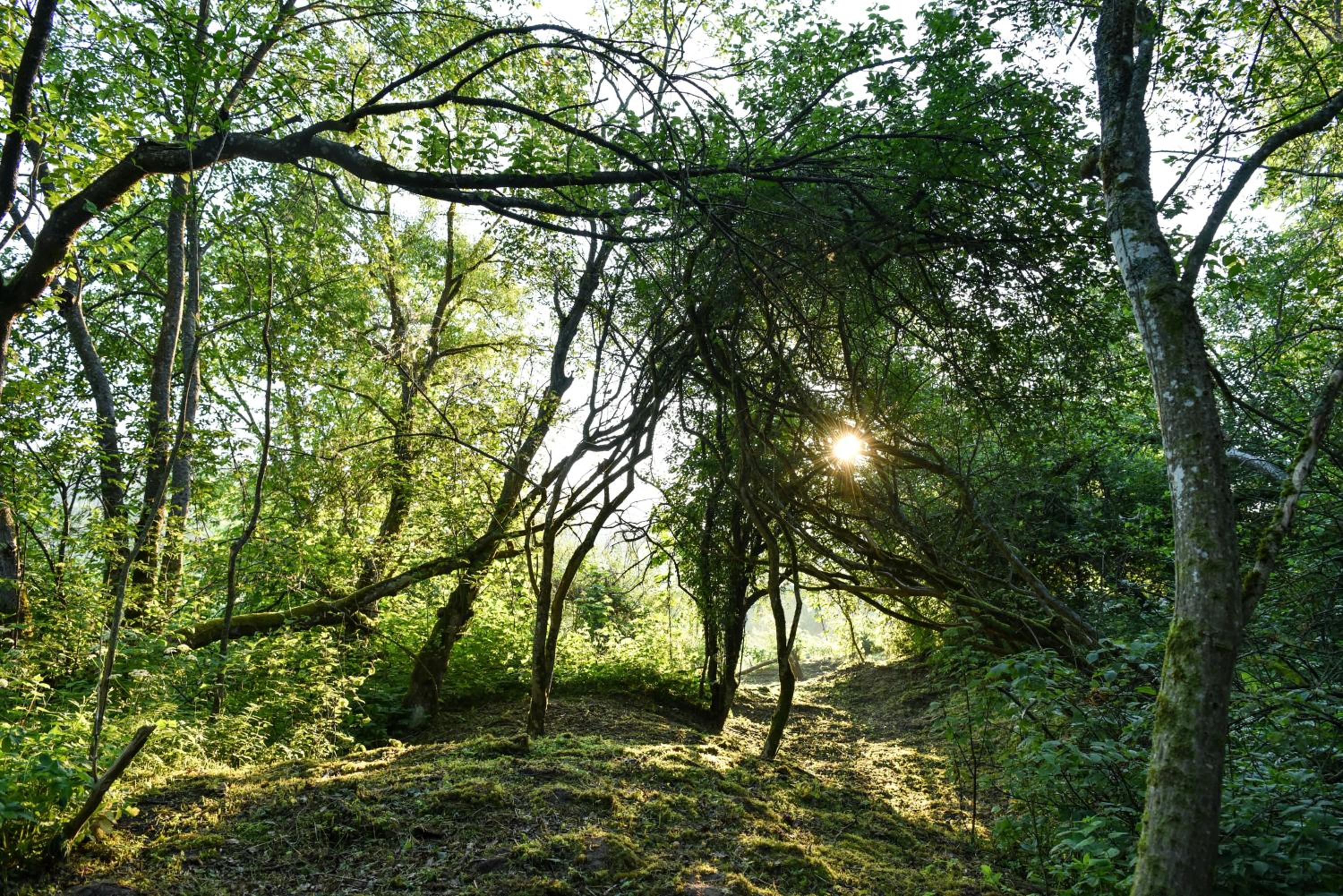 Daugirdėnų sodyba