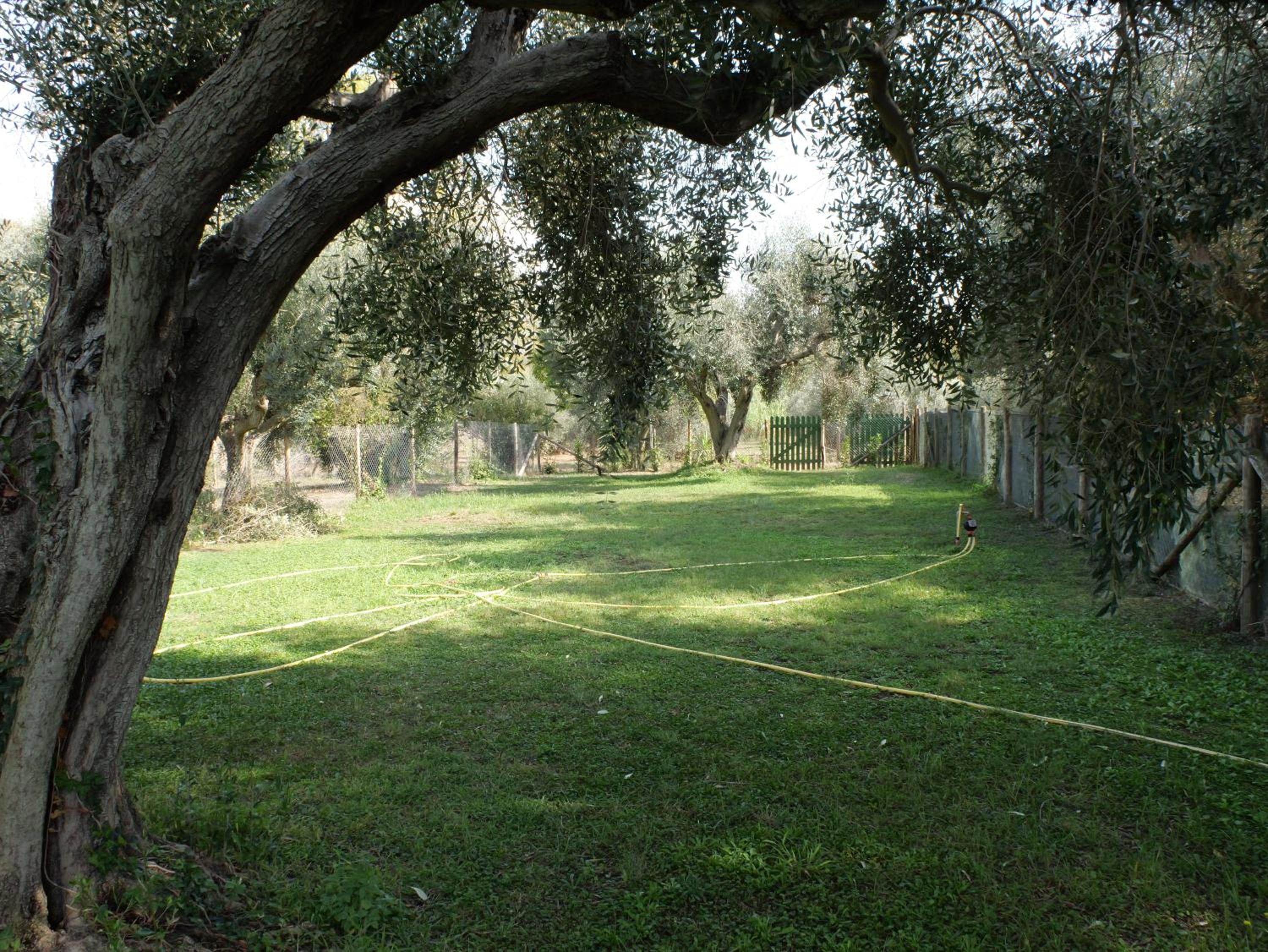 Photo 22