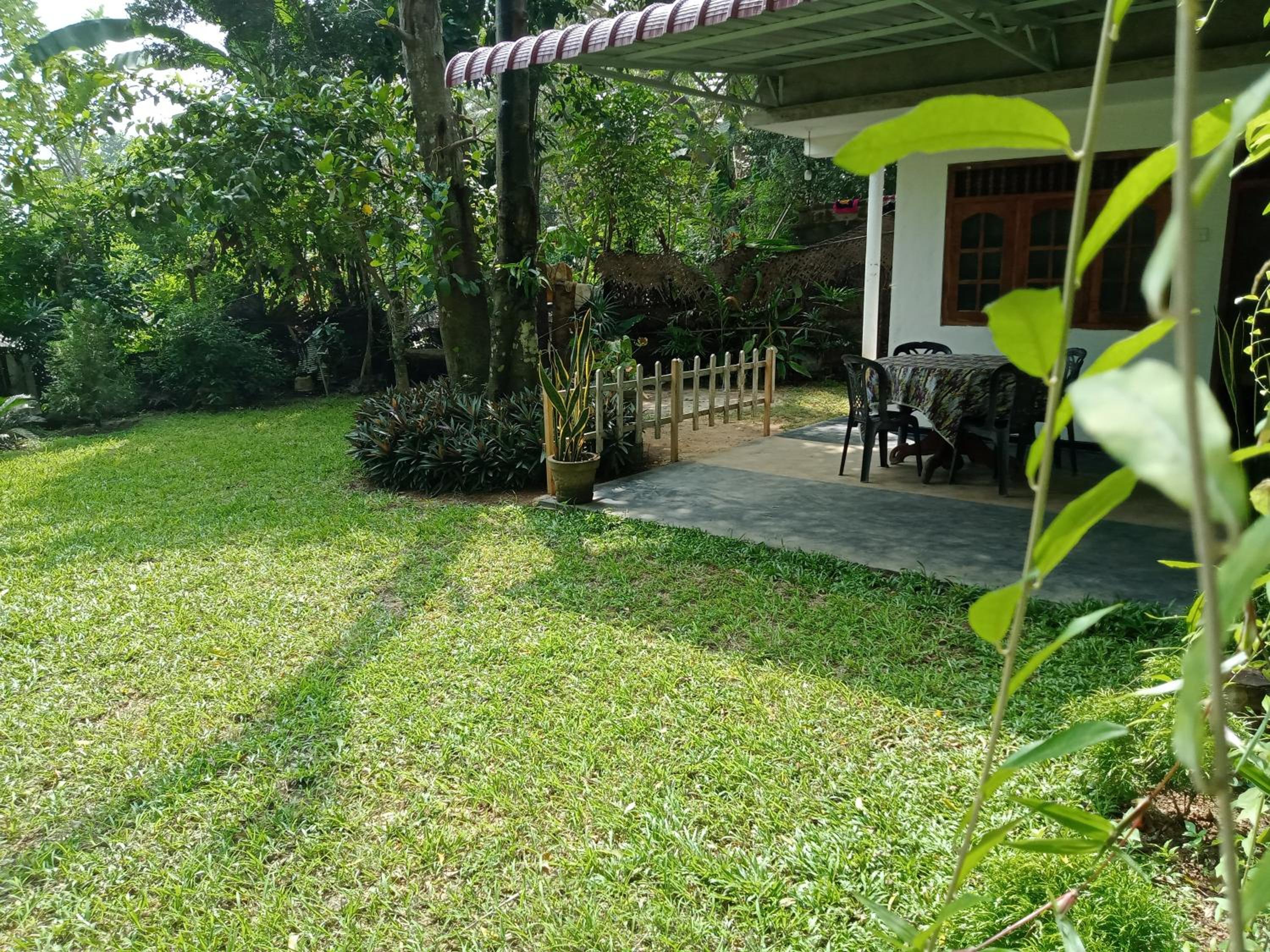 Photo 42