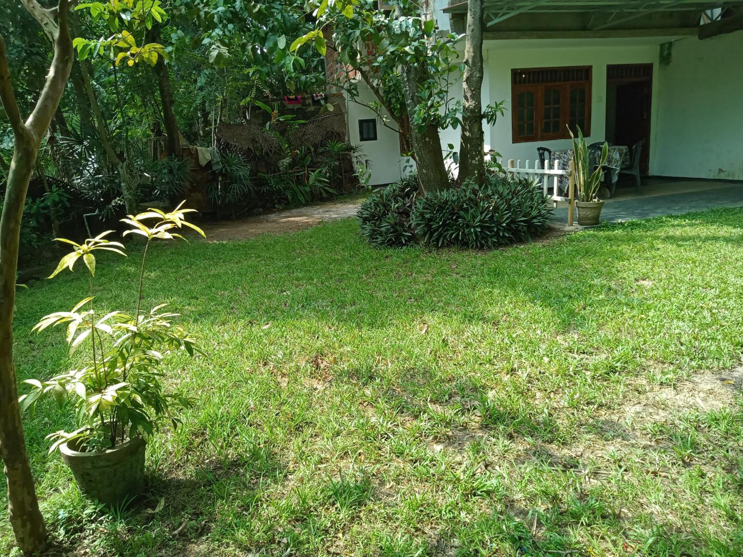 Photo 49