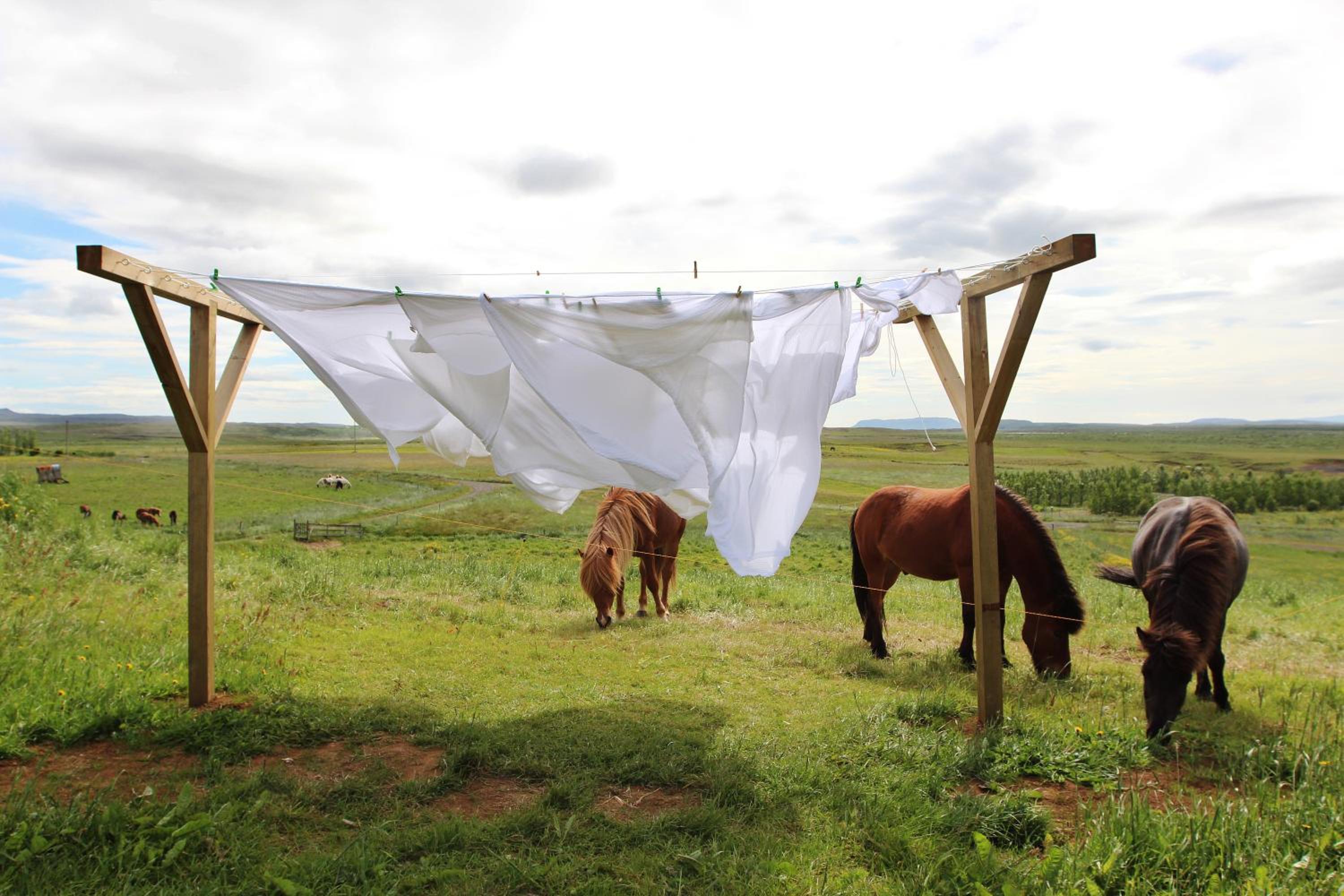Mengi Countryside