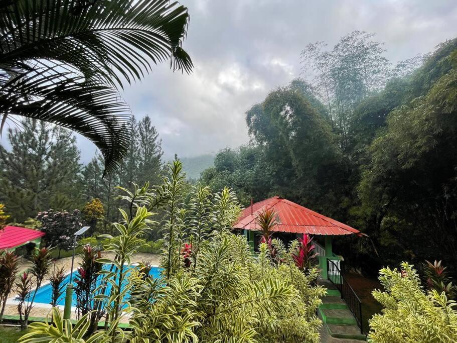 Villa Don Manuel - Photo 13