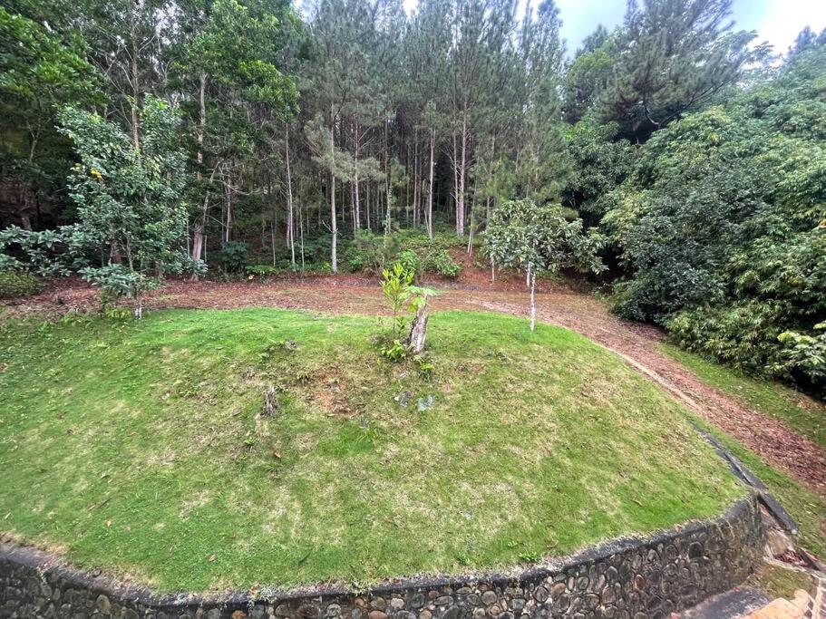 Villa Don Manuel - Photo 18