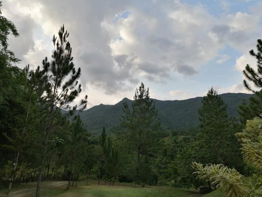 Villa Don Manuel - Photo 19