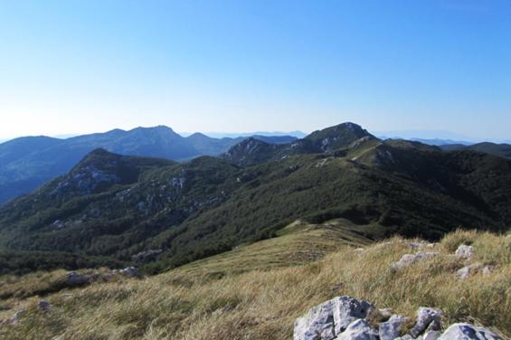 Photo 30