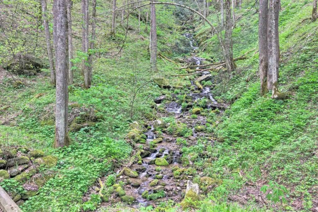 Luxury Mountain Cabin with Private Waterfall, Game Room, Scenic Views and Hiking Trails view 4