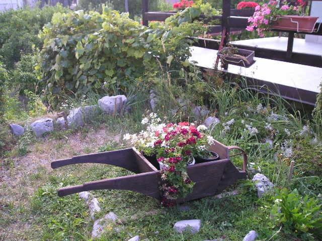 Photo 23